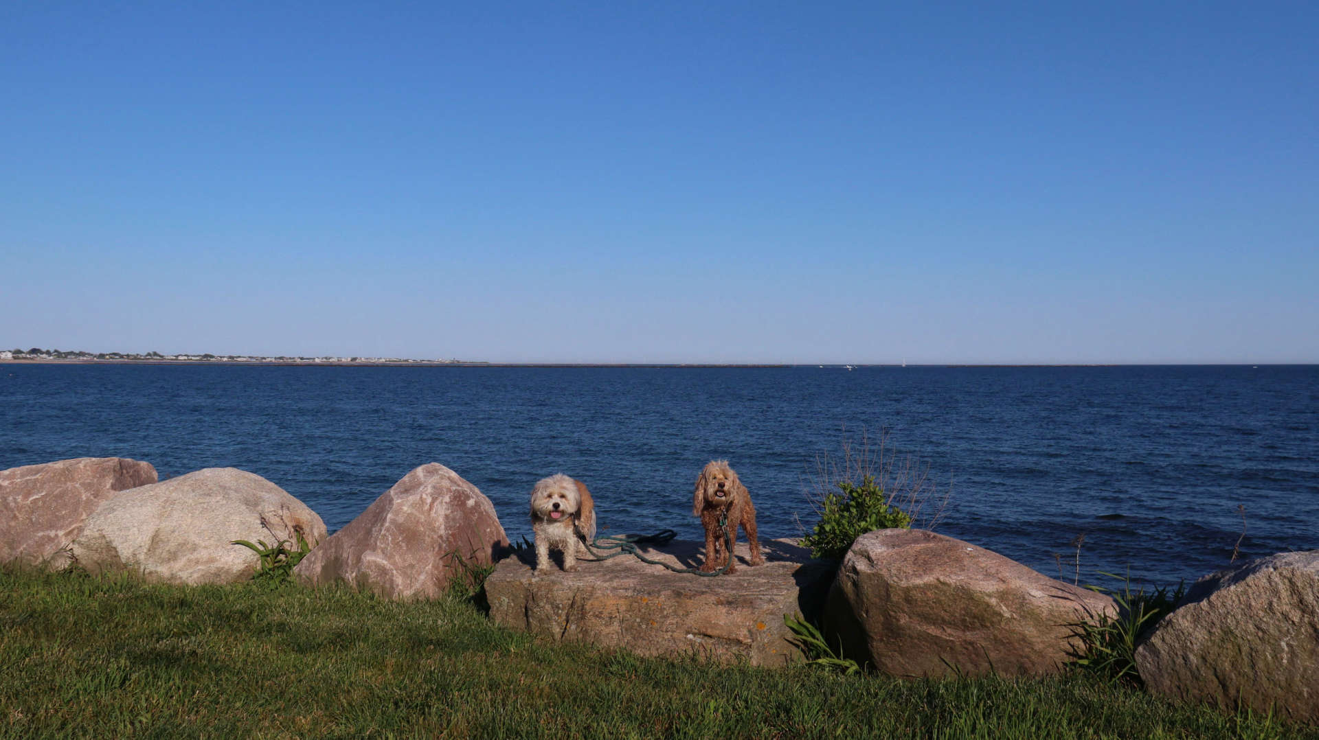 South_Kingstown735