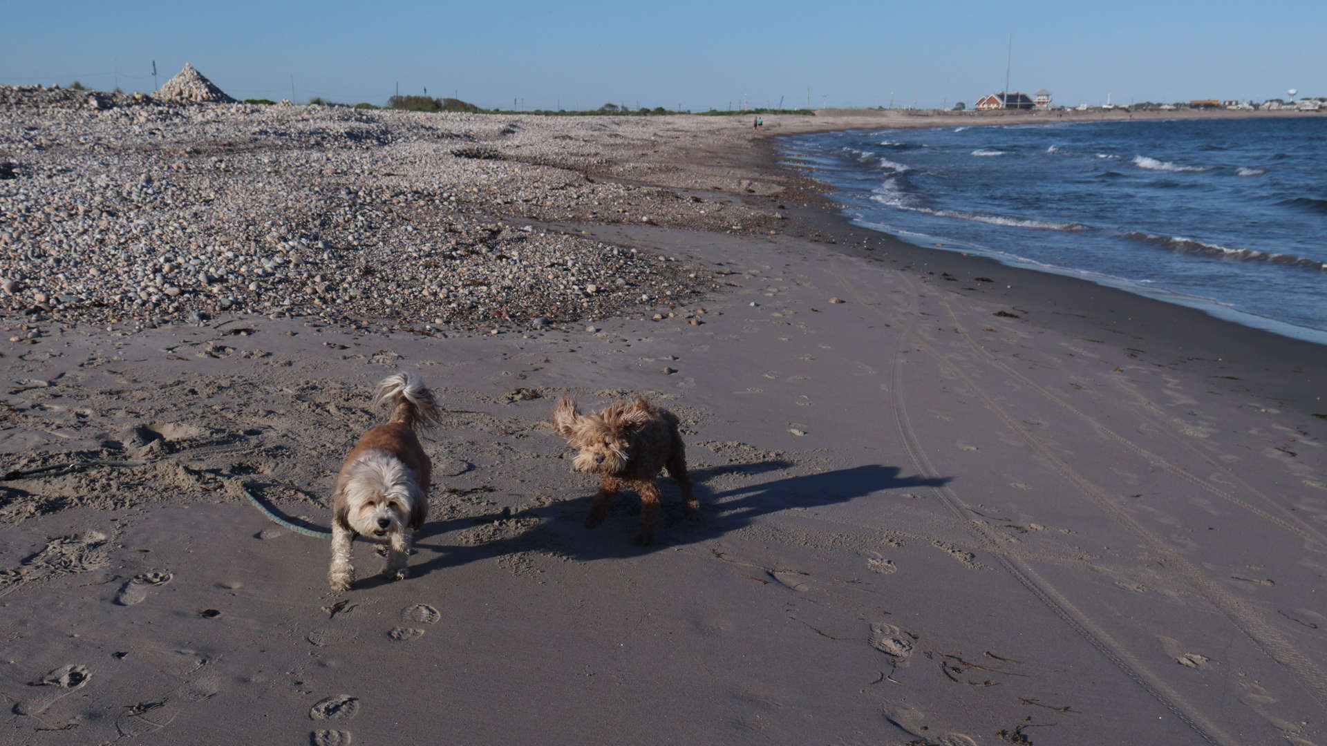 South_Kingstown736