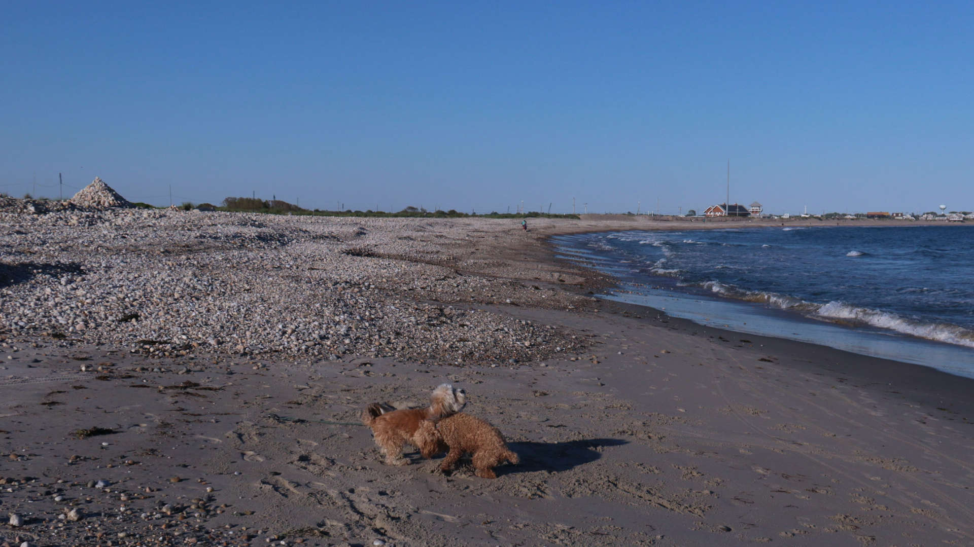 South_Kingstown737