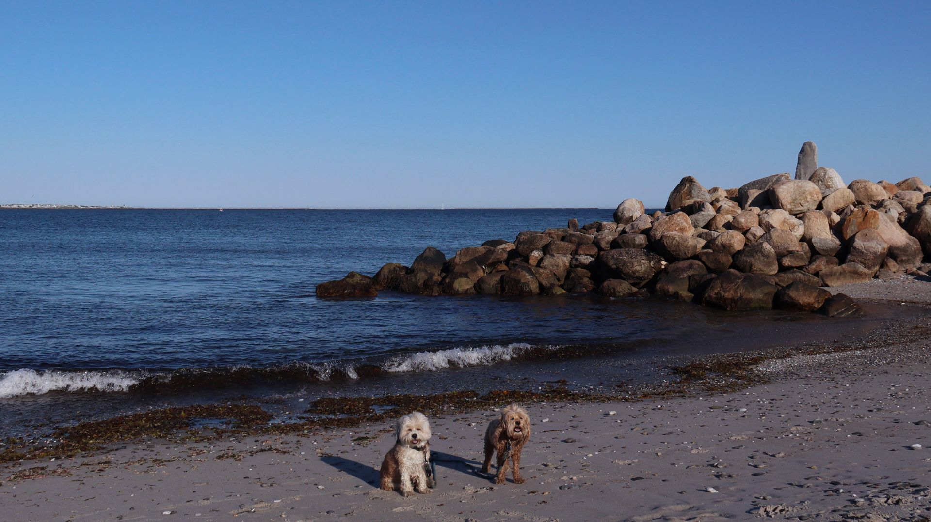 South_Kingstown743