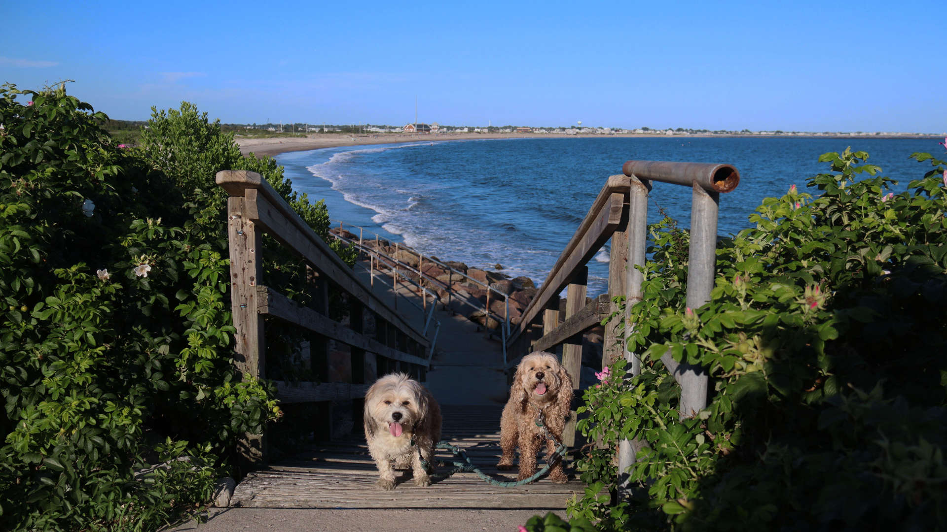 South_Kingstown798