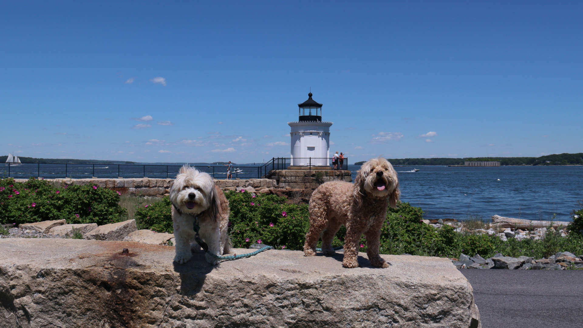 South_Portland3
