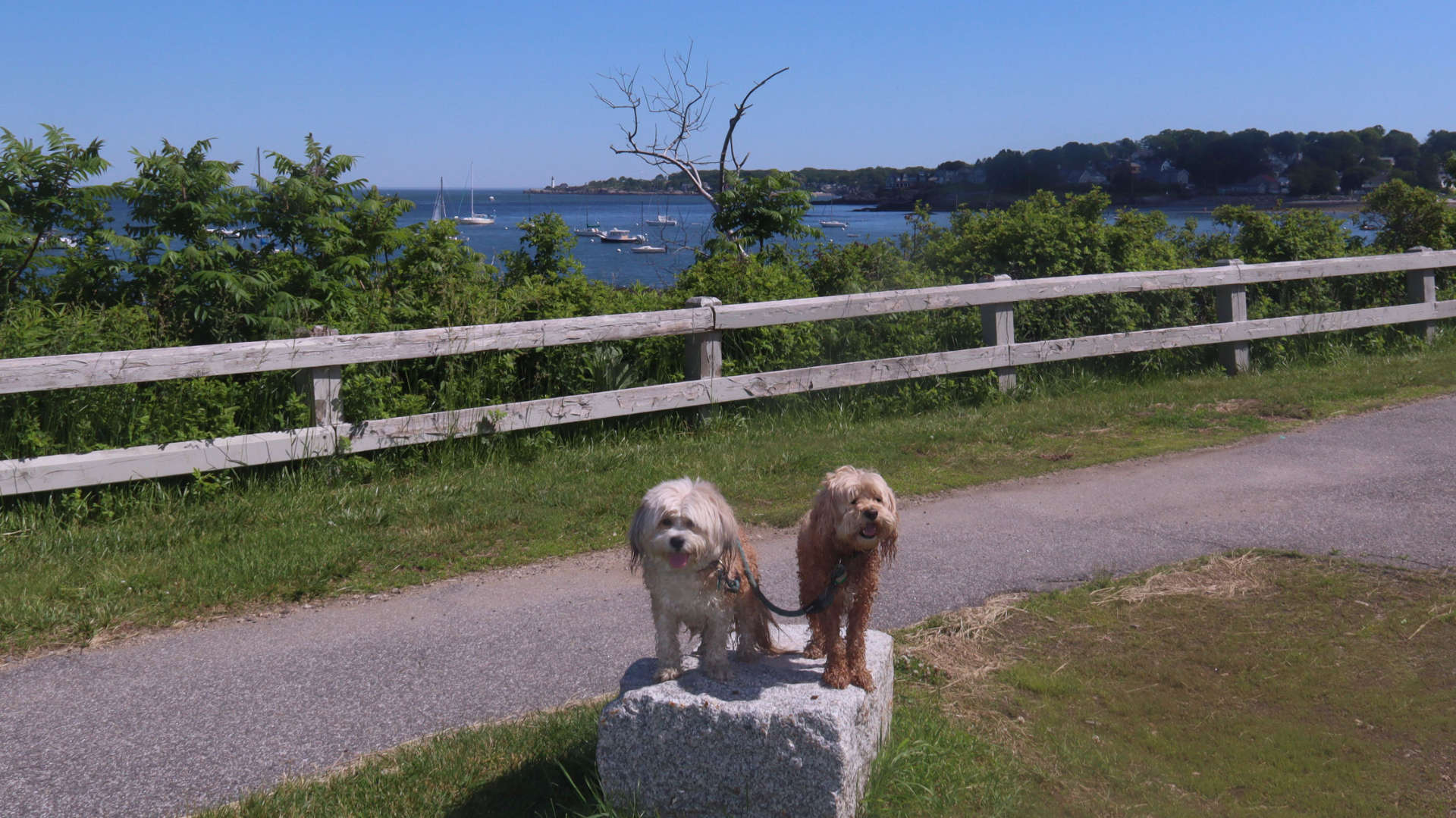 South_Portland32