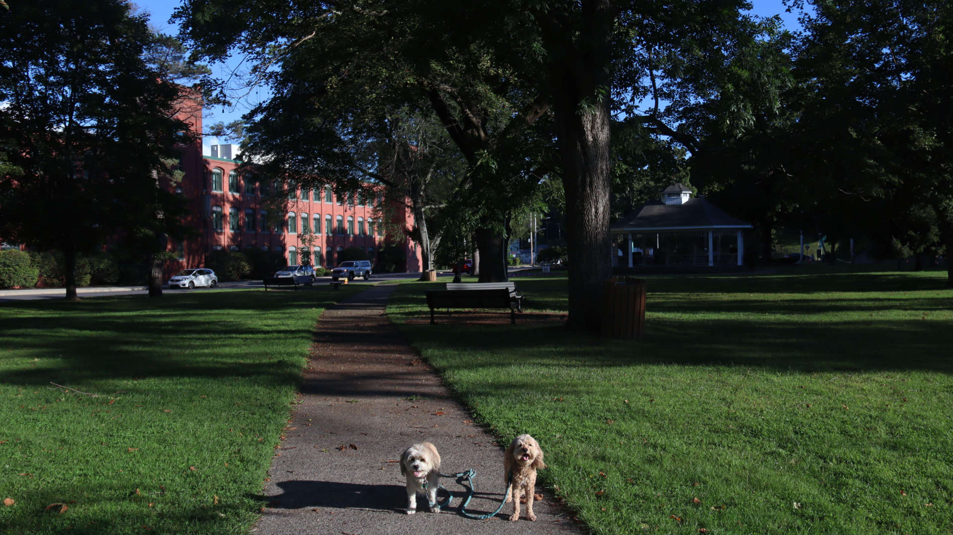 Southbridge24