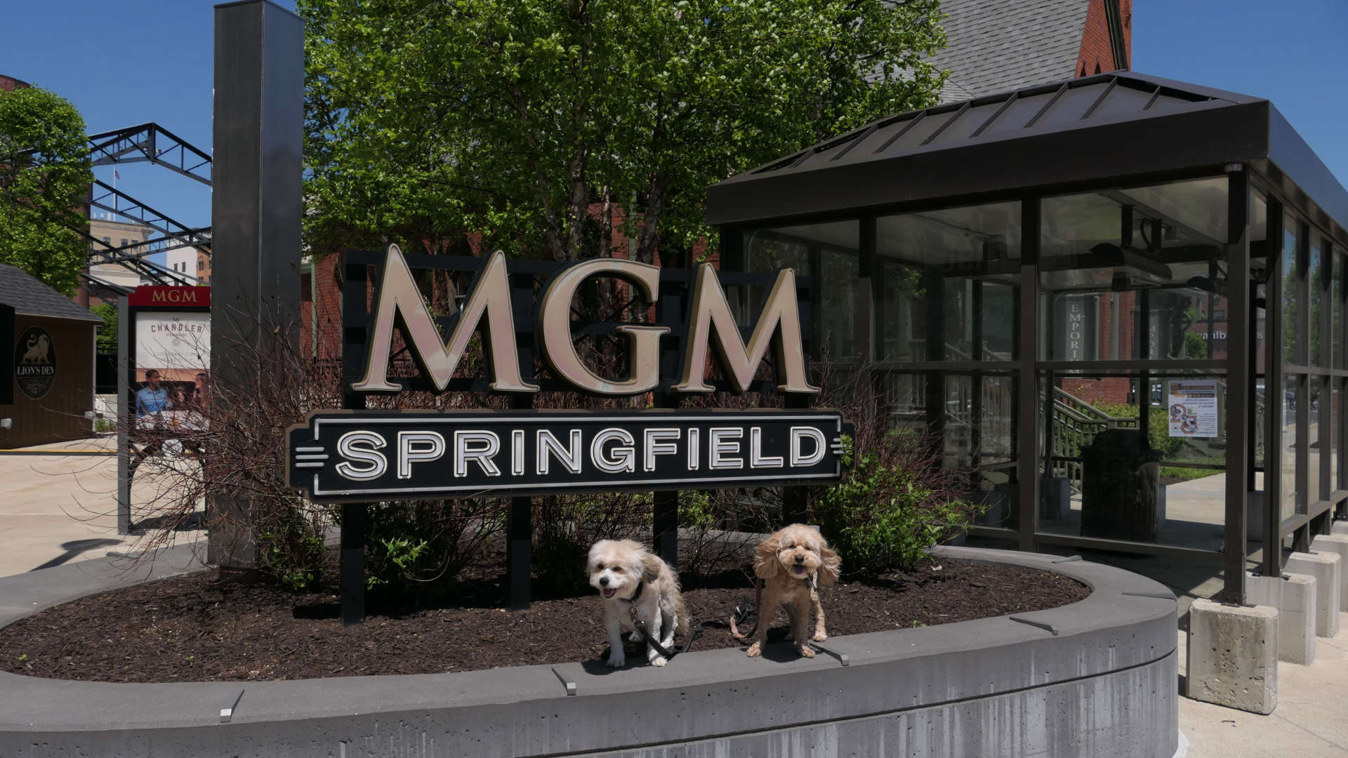 Springfield44