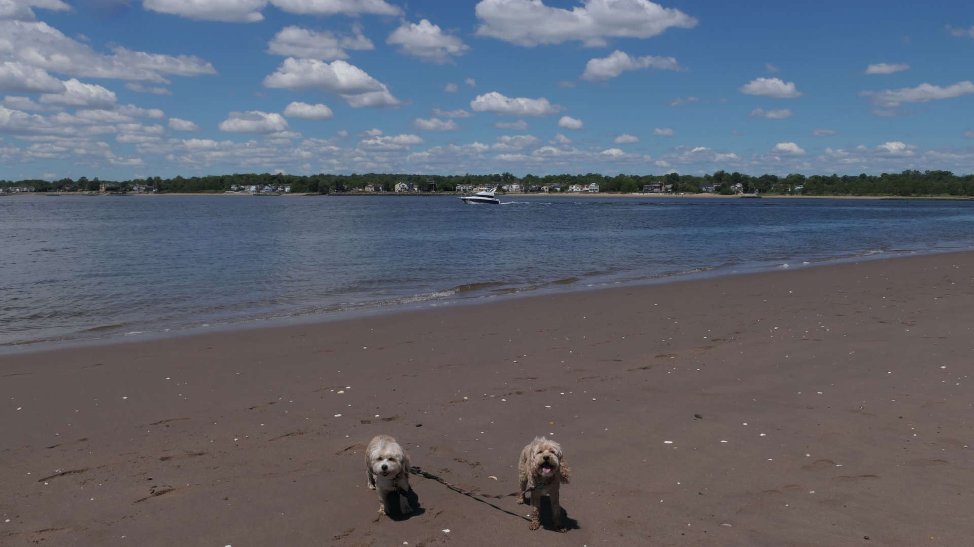 Staten_Island103