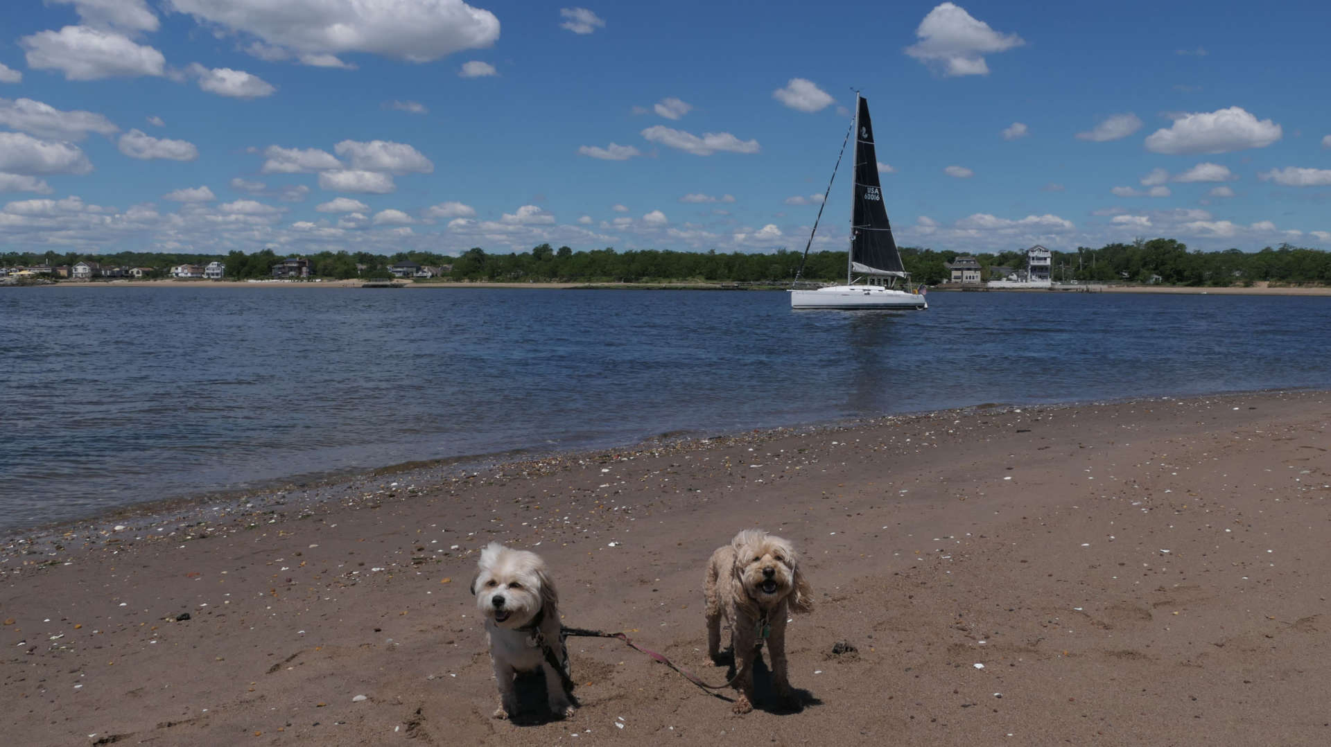 Staten_Island106