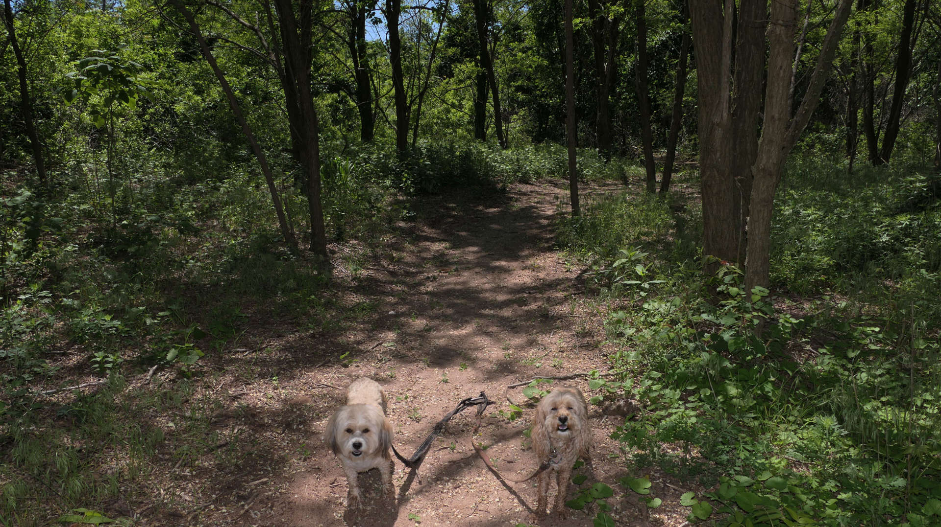 Staten_Island109