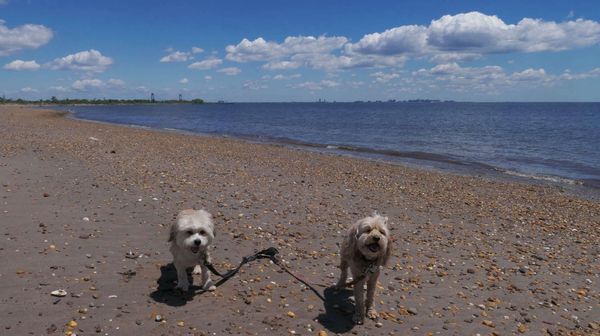 Staten_Island114