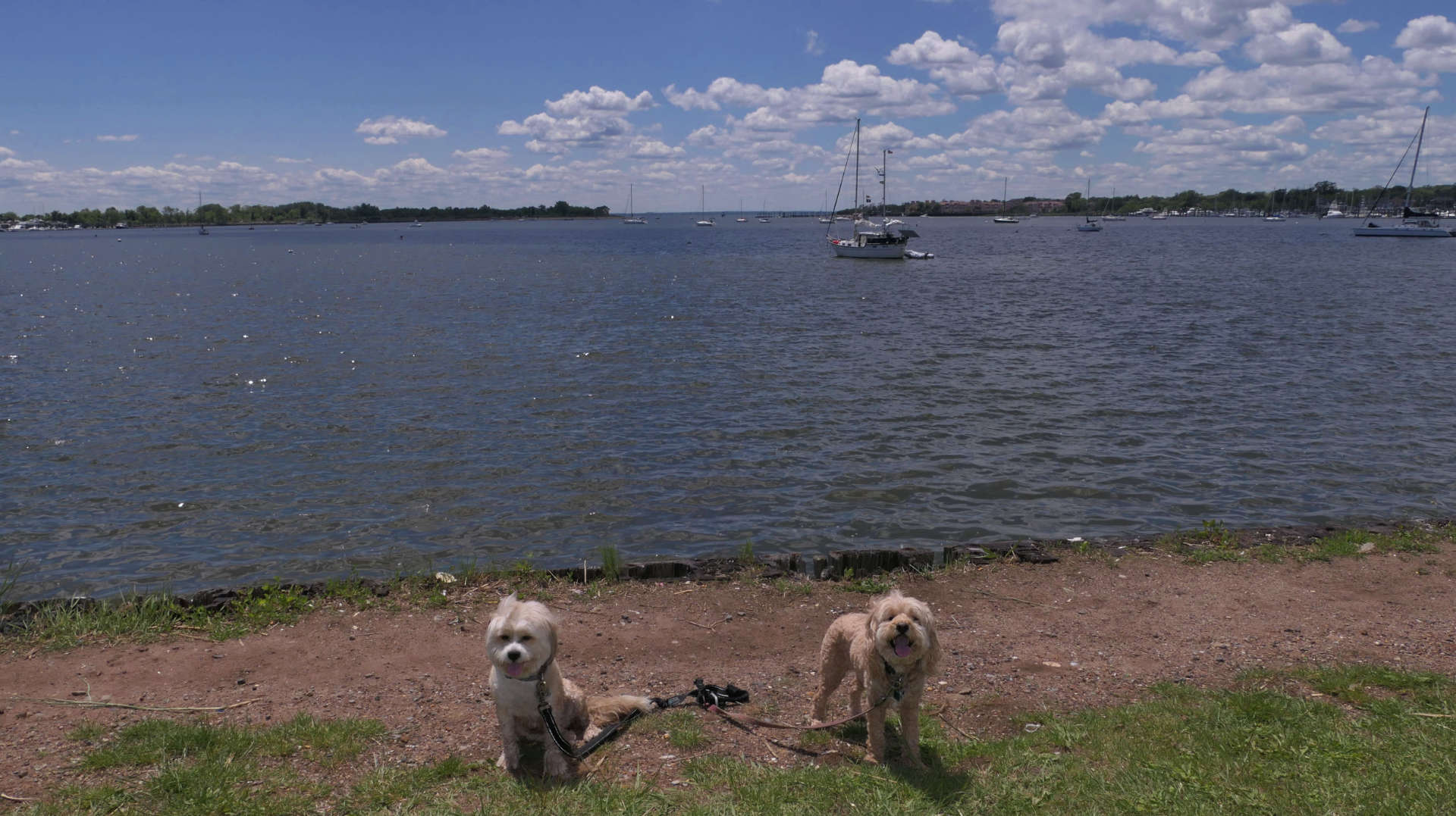 Staten_Island123