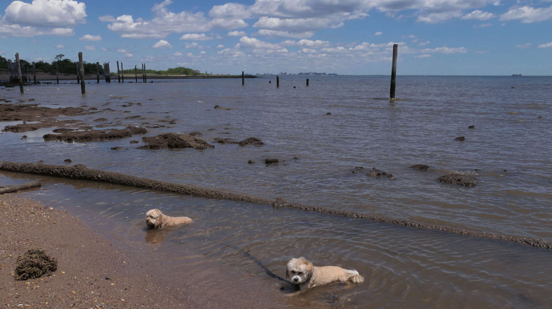 Staten_Island127