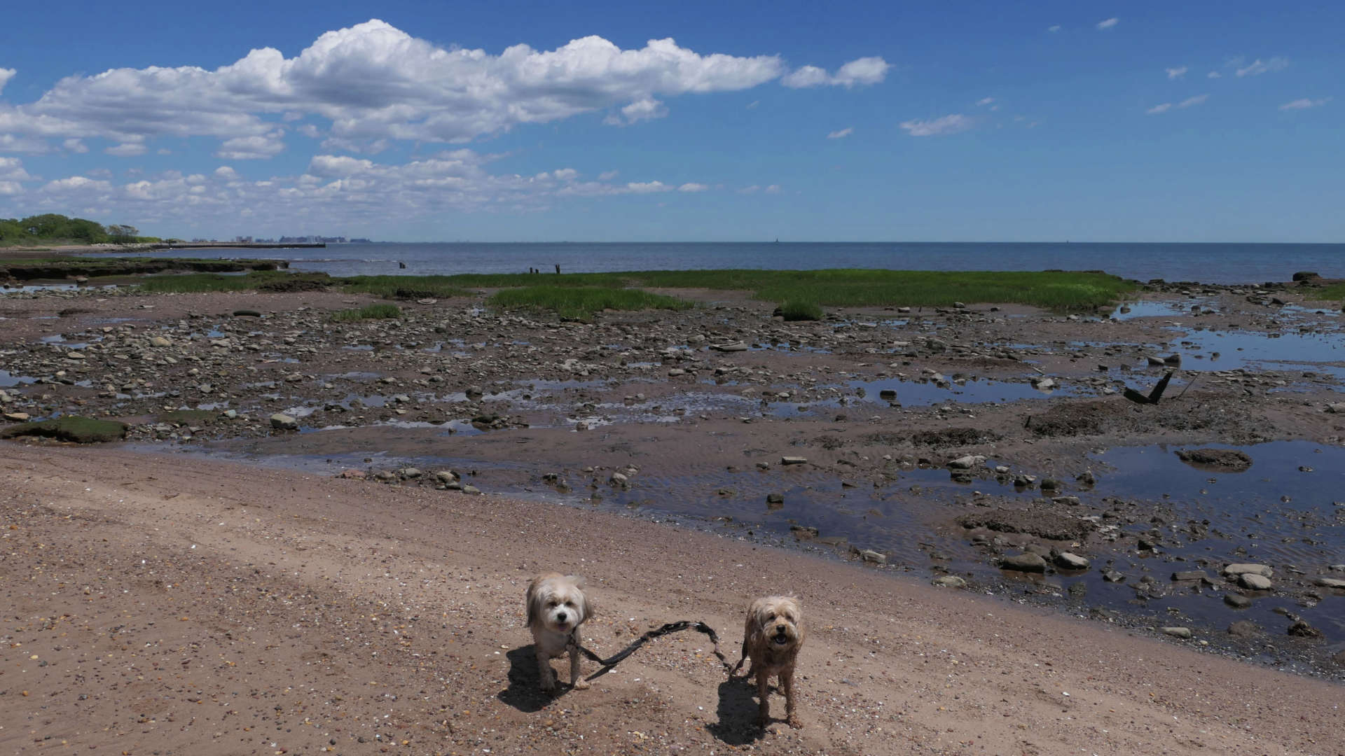 Staten_Island128