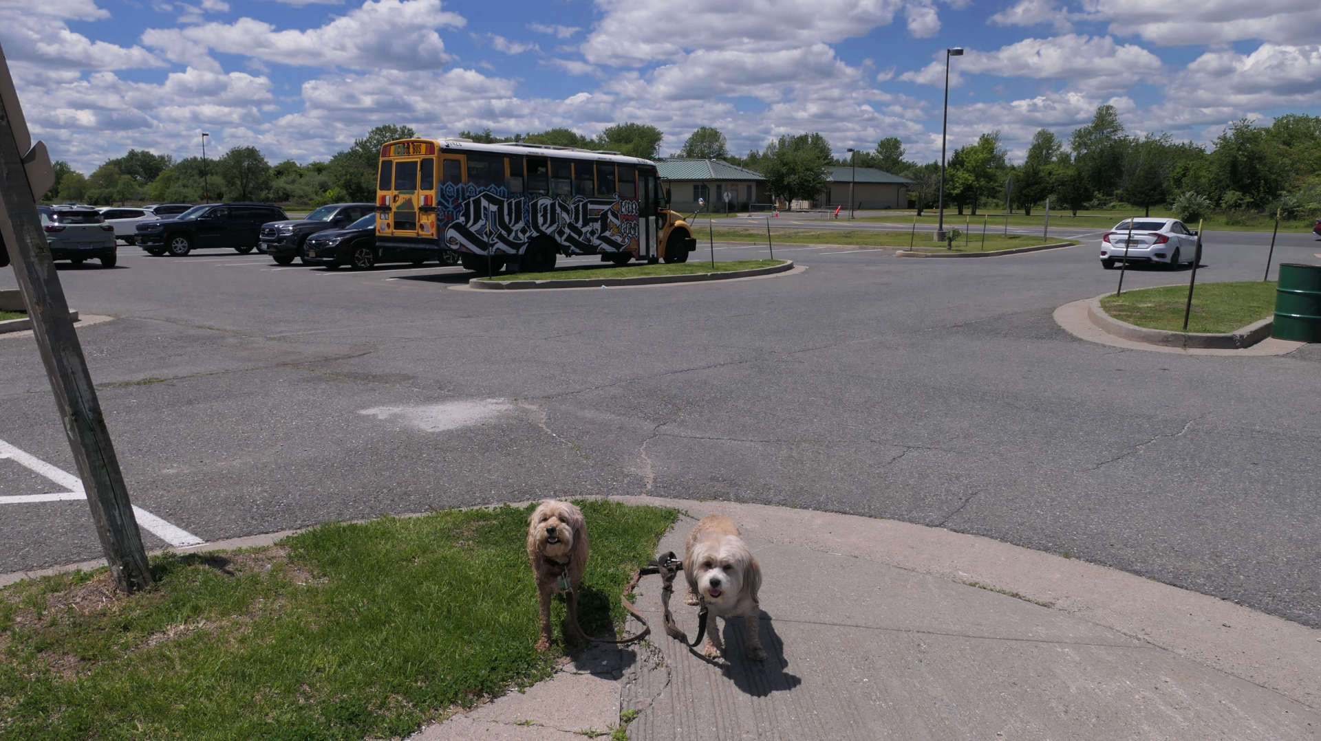 Staten_Island130