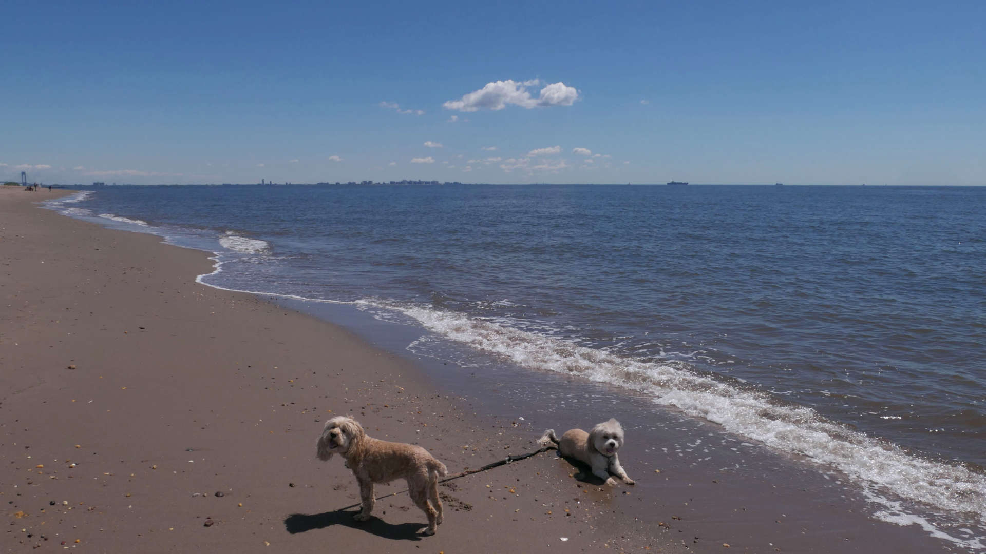 Staten_Island98