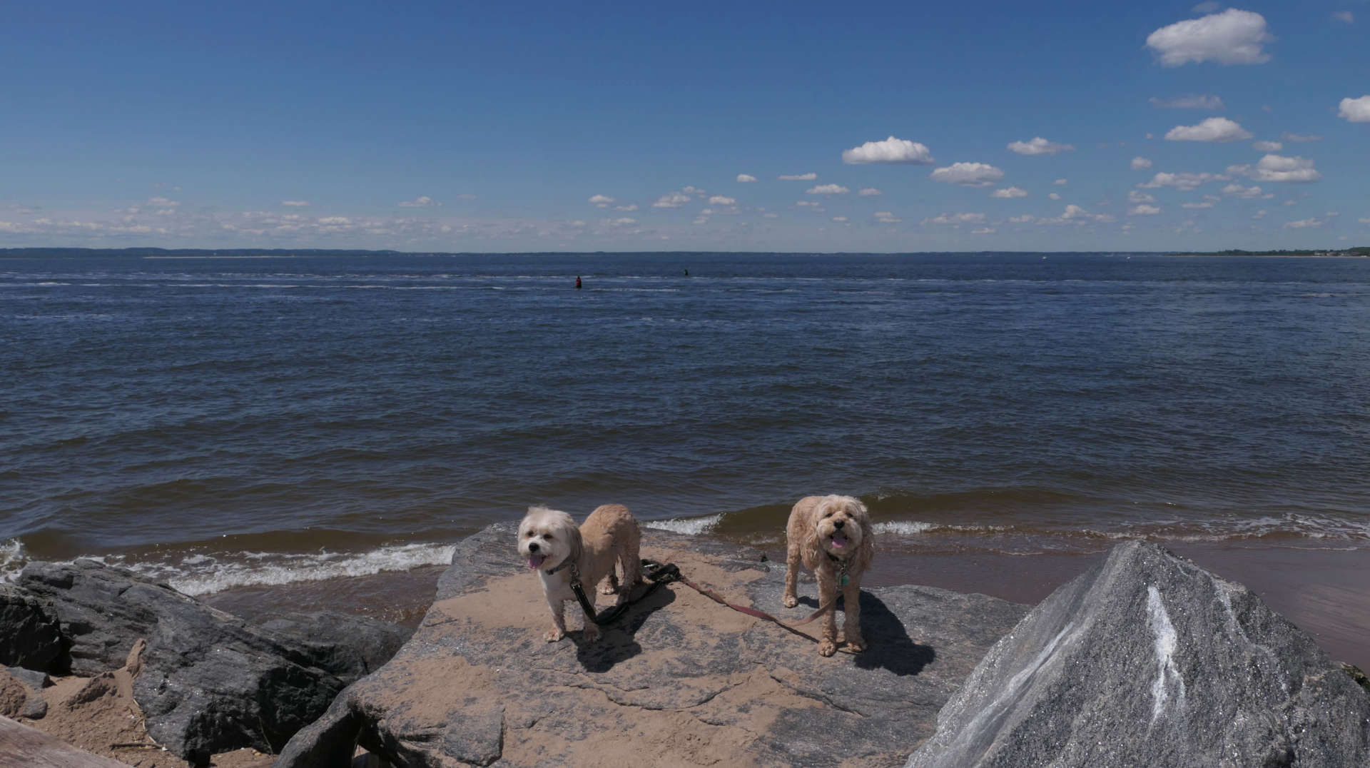 Staten_Island99