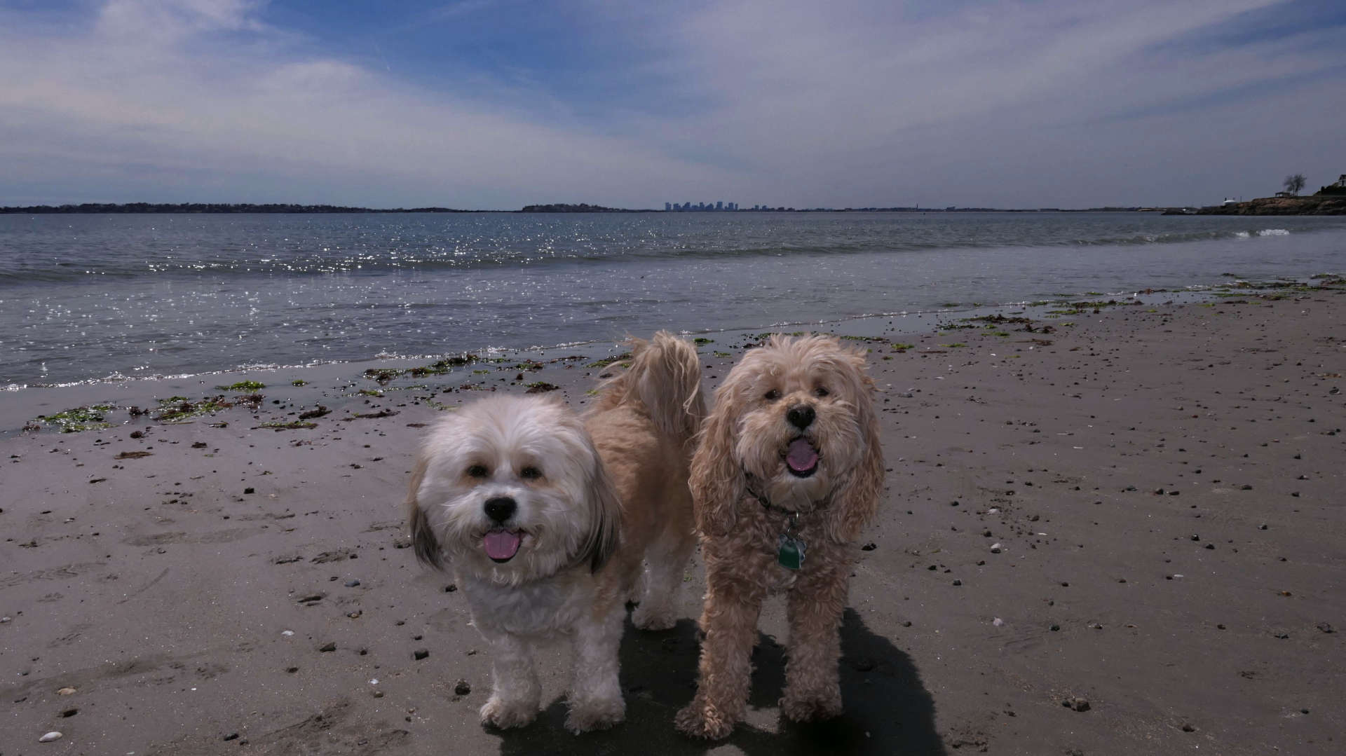 Swampscott11