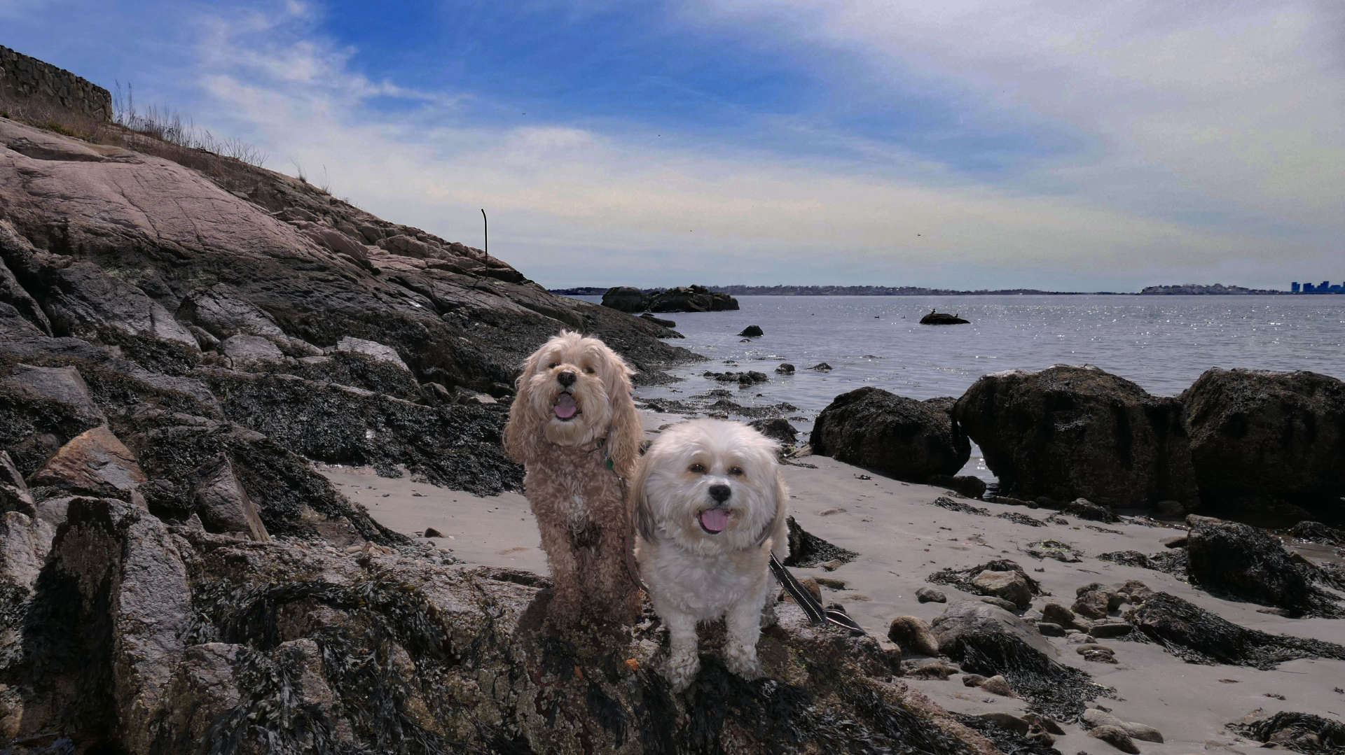 Swampscott12