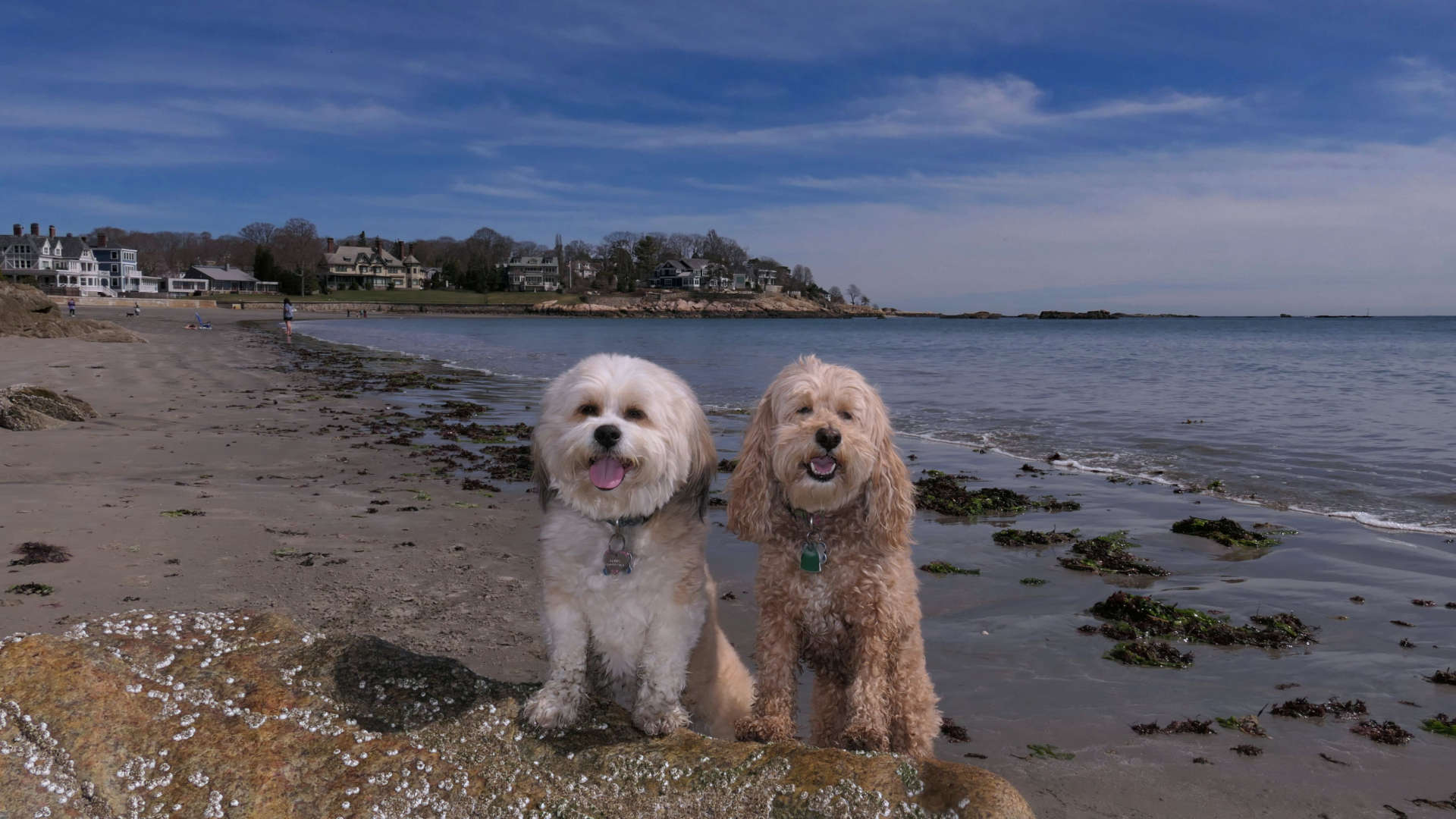 Swampscott13