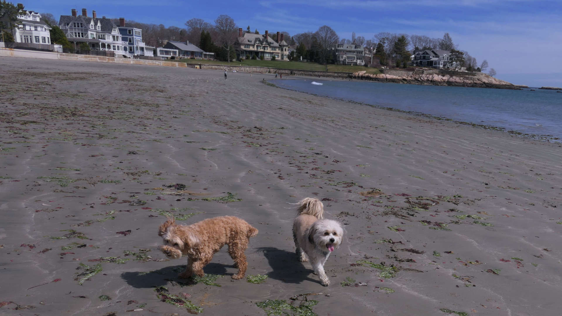 Swampscott16