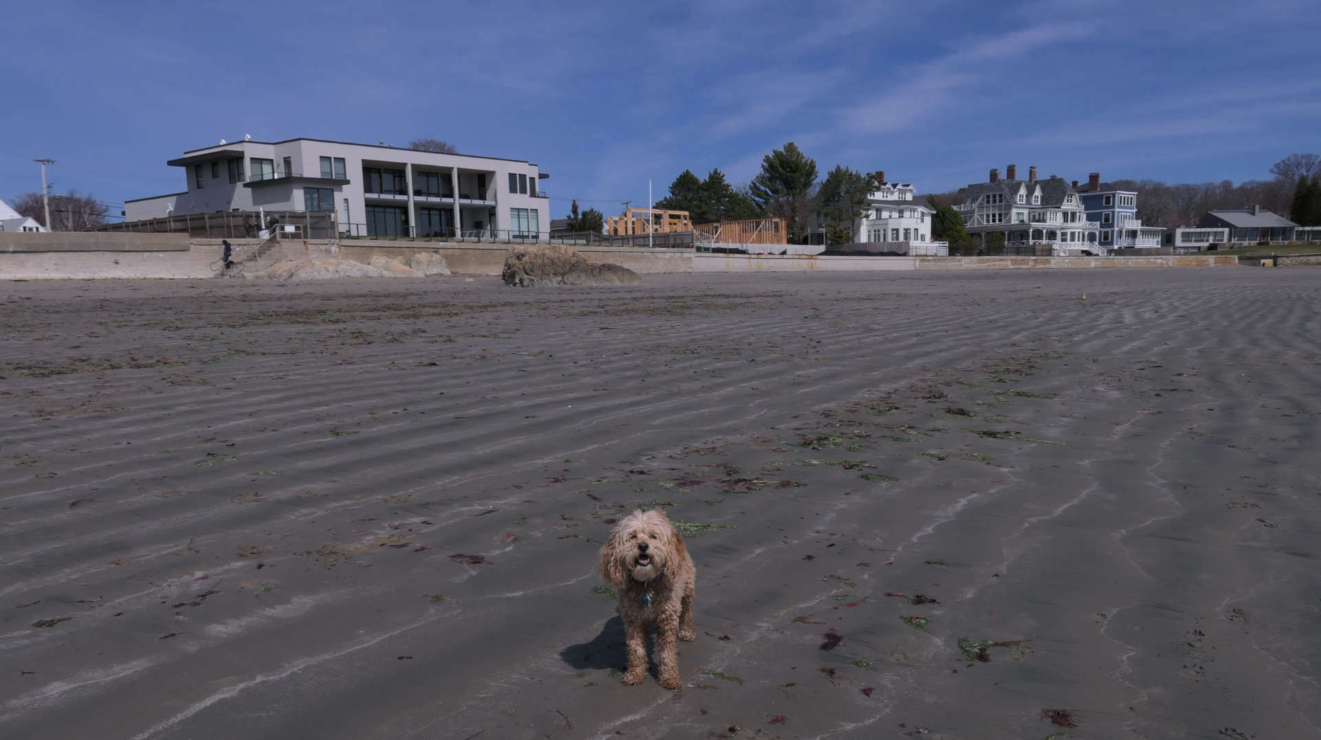 Swampscott17
