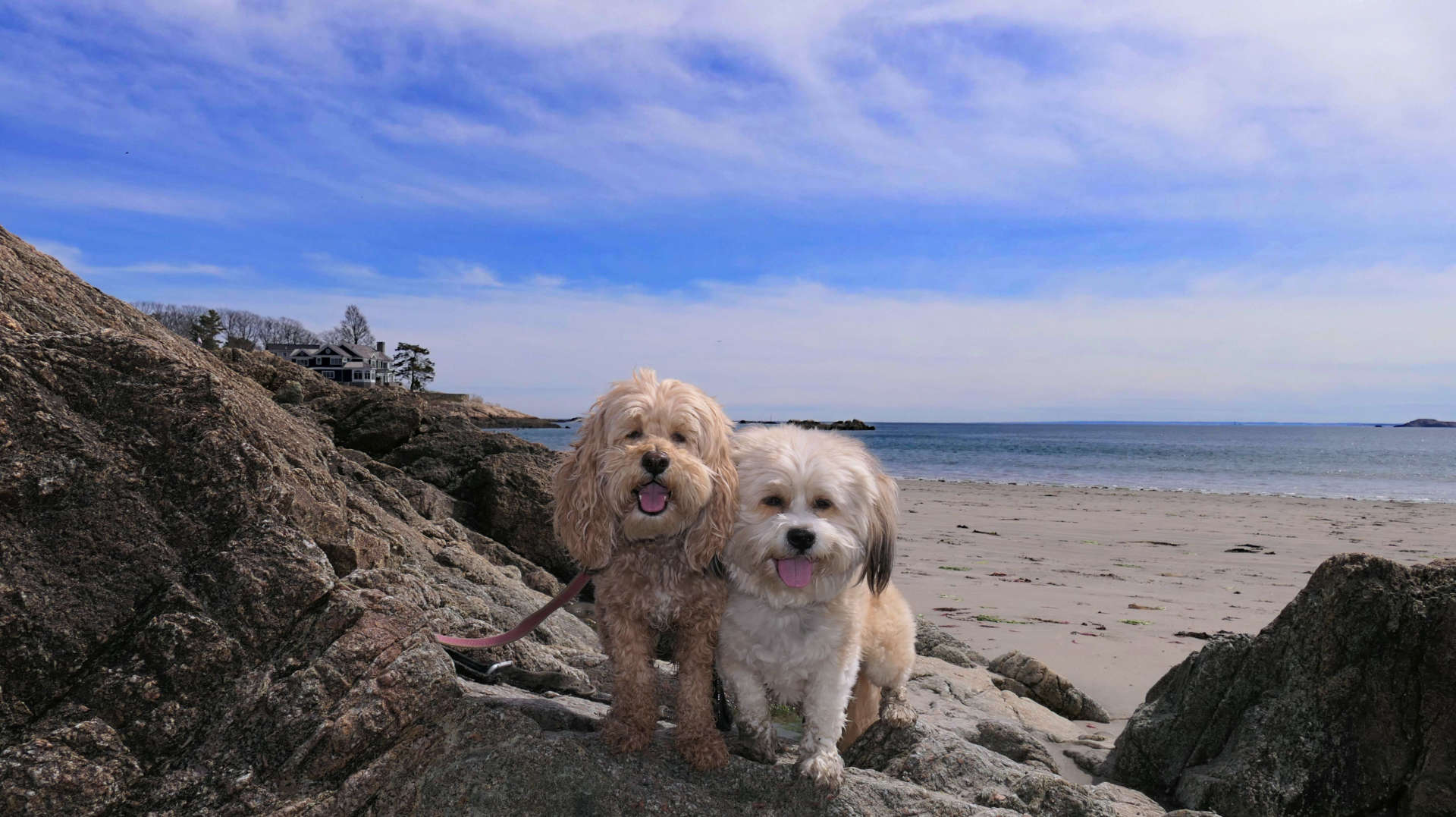 Swampscott19