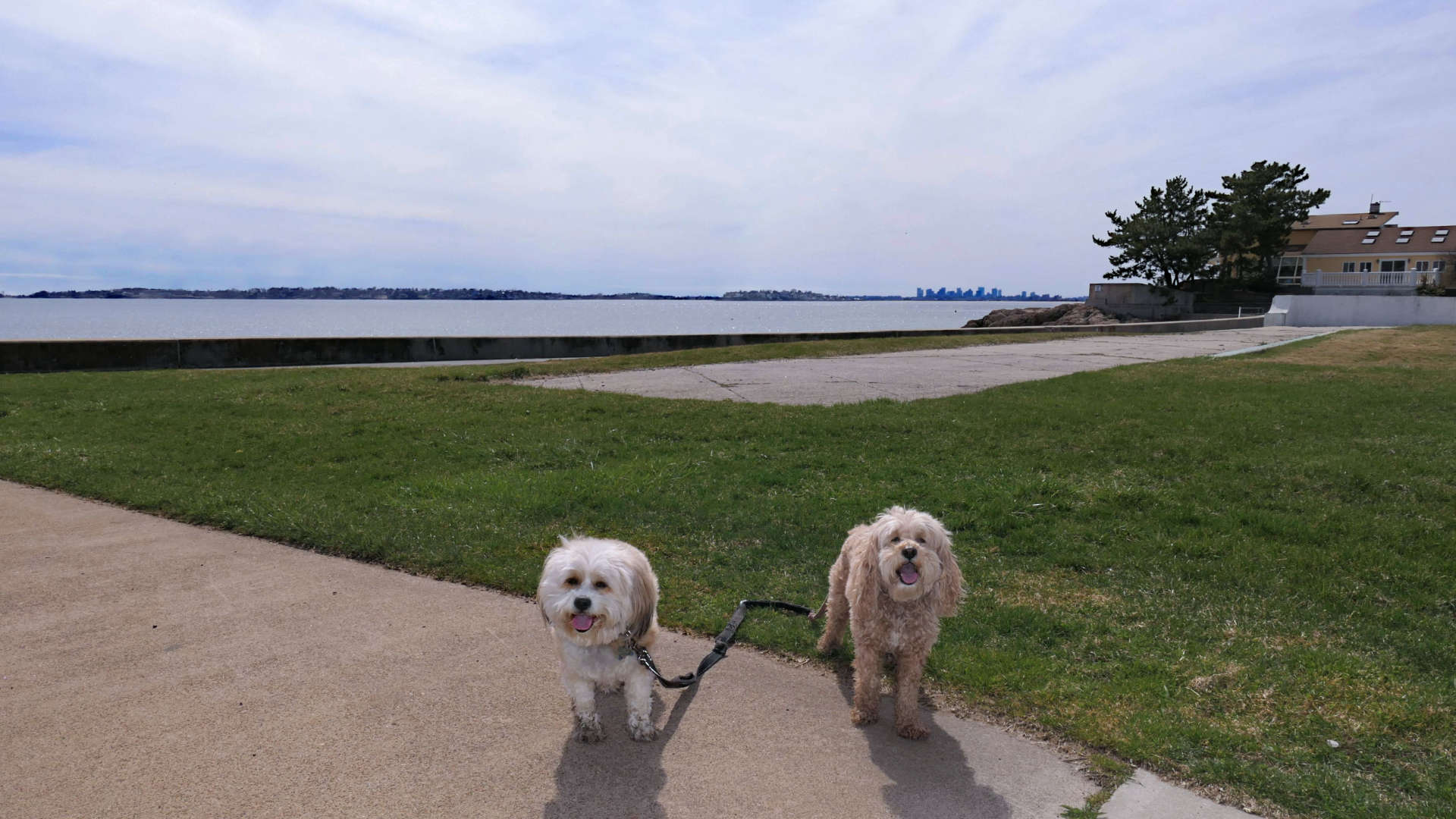 Swampscott20