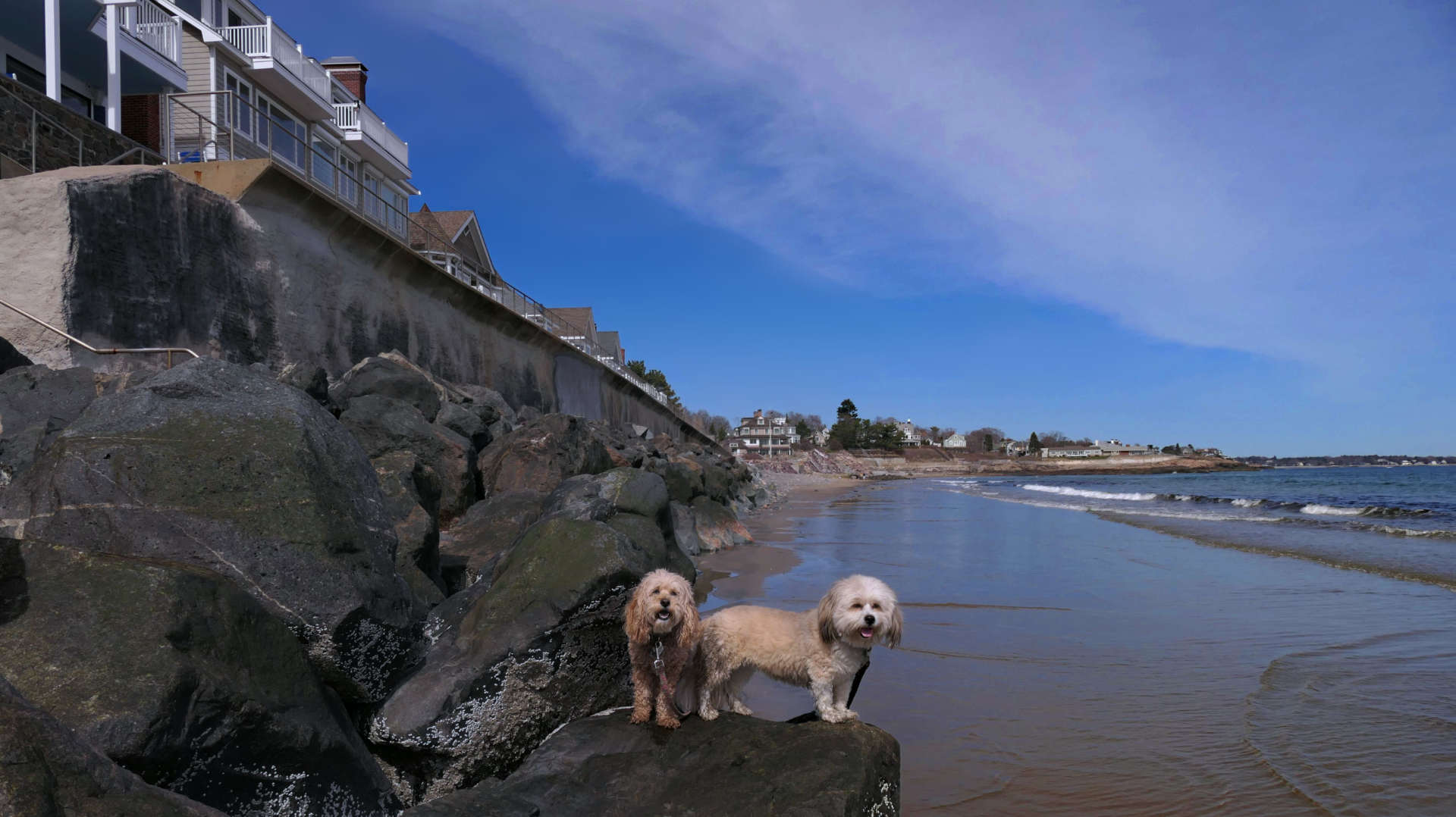 Swampscott24