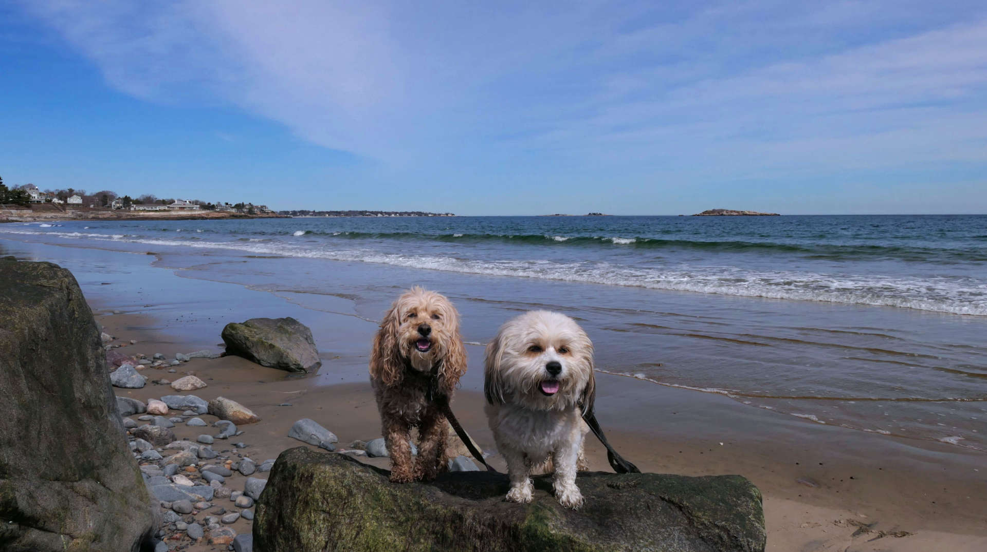 Swampscott25