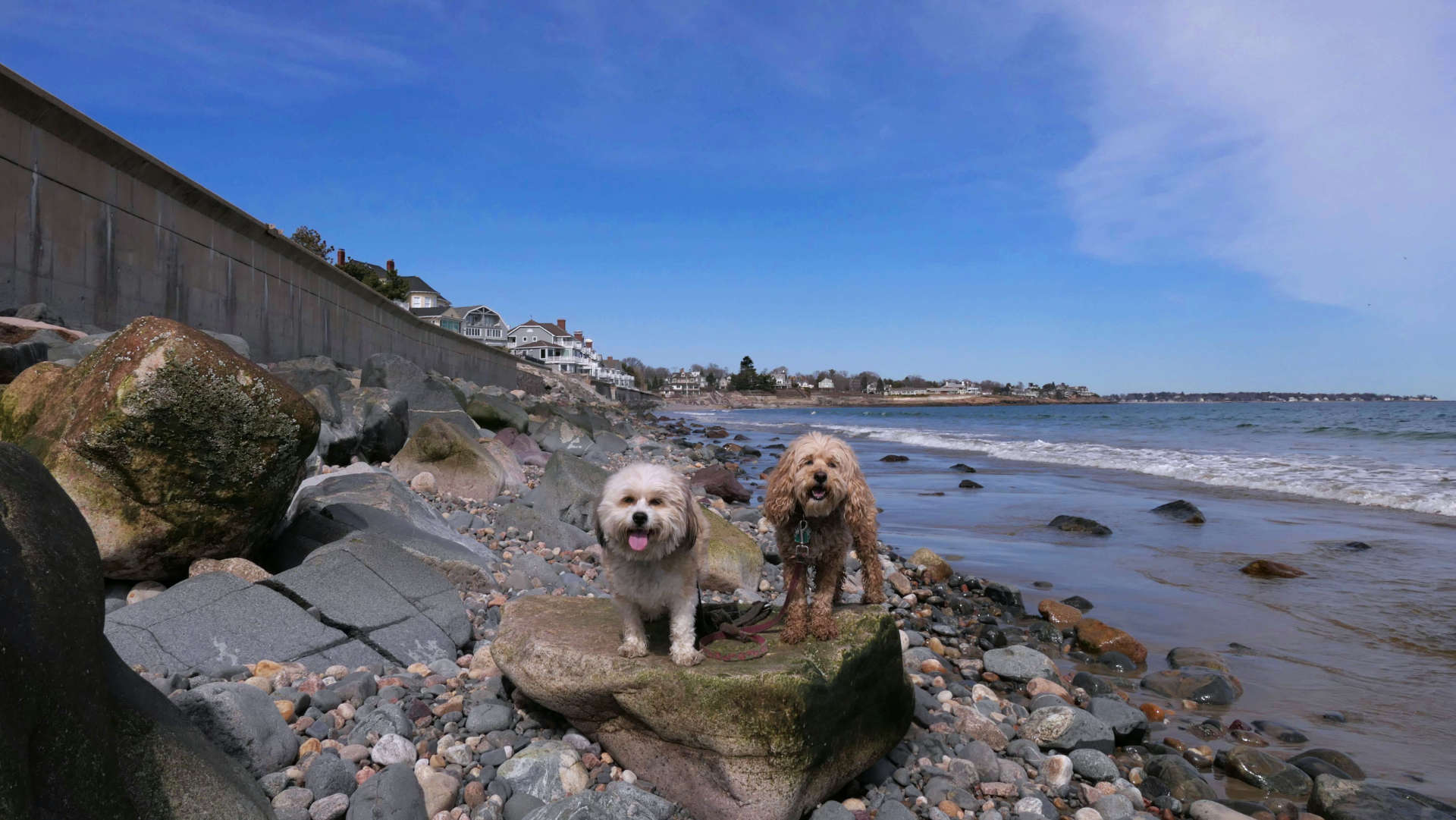 Swampscott27