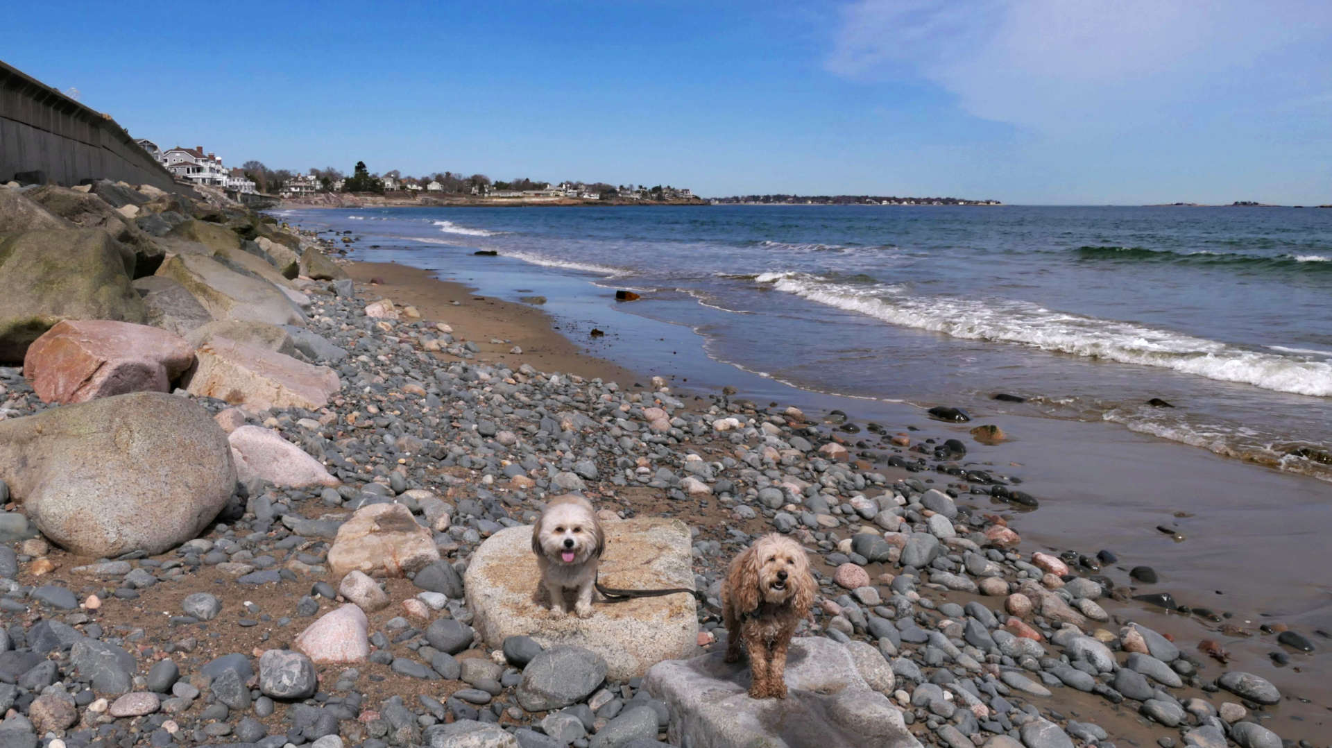 Swampscott28