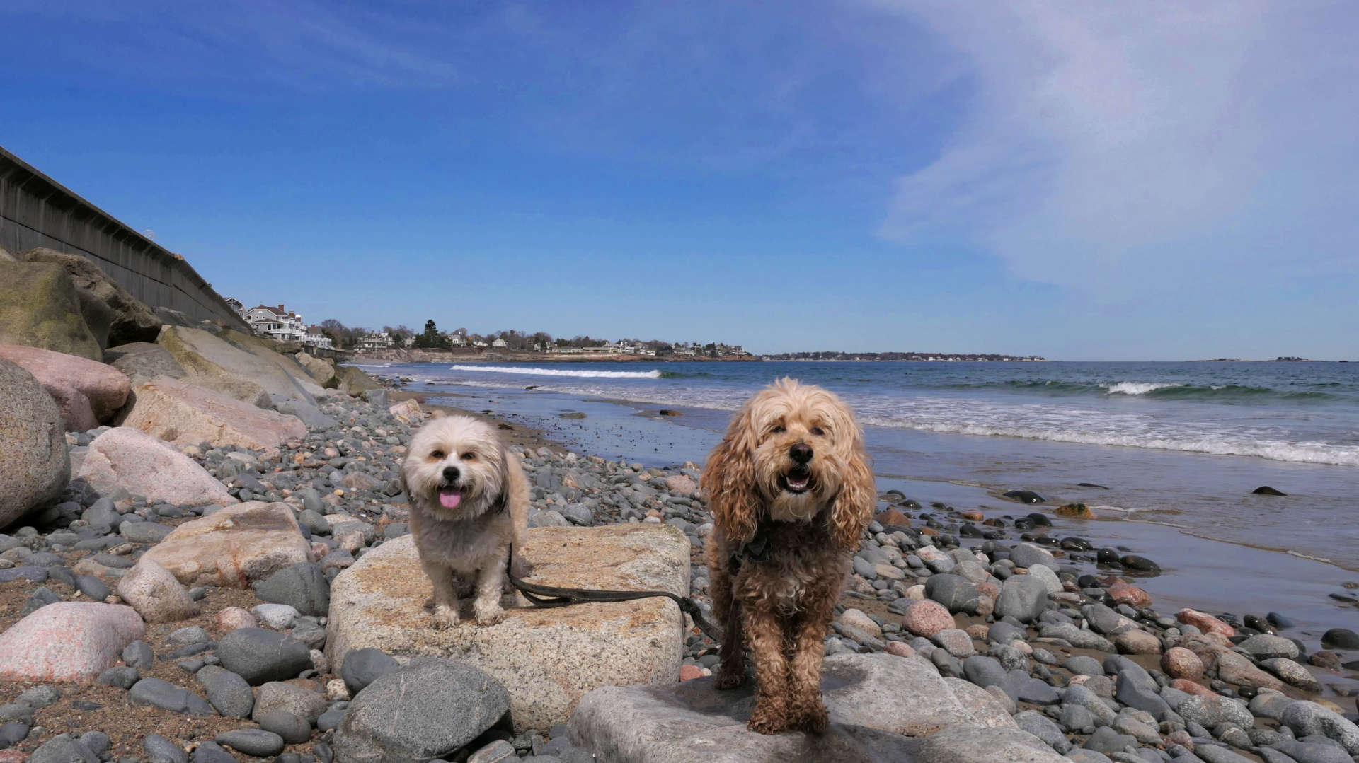 Swampscott29