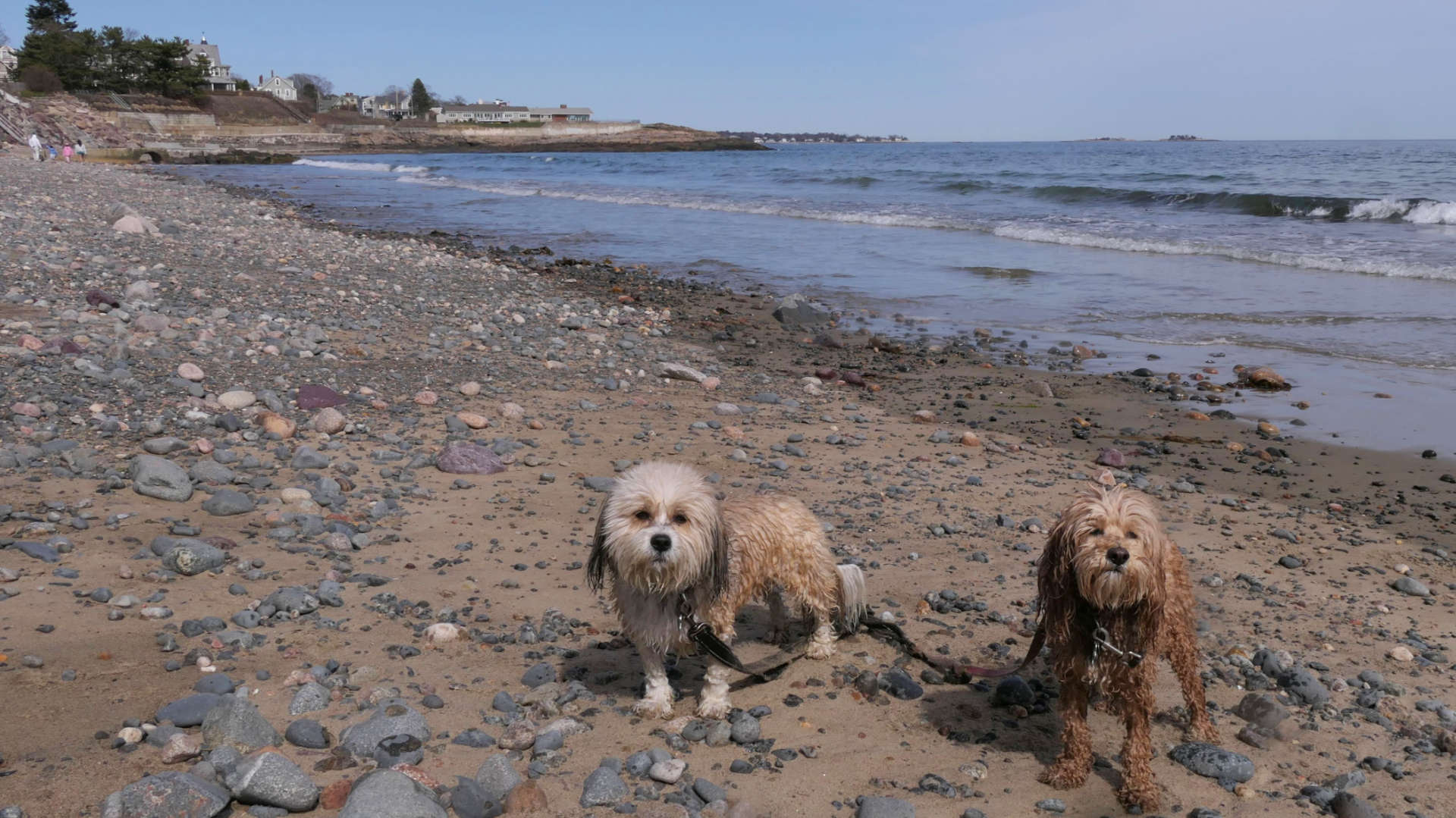 Swampscott30