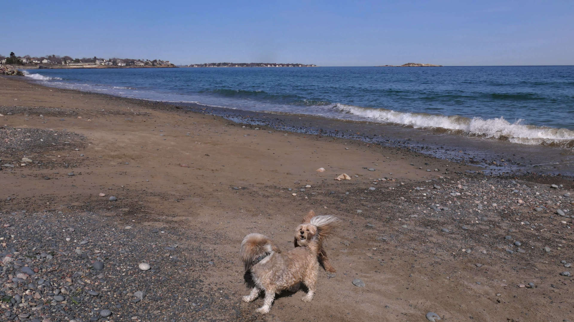 Swampscott35