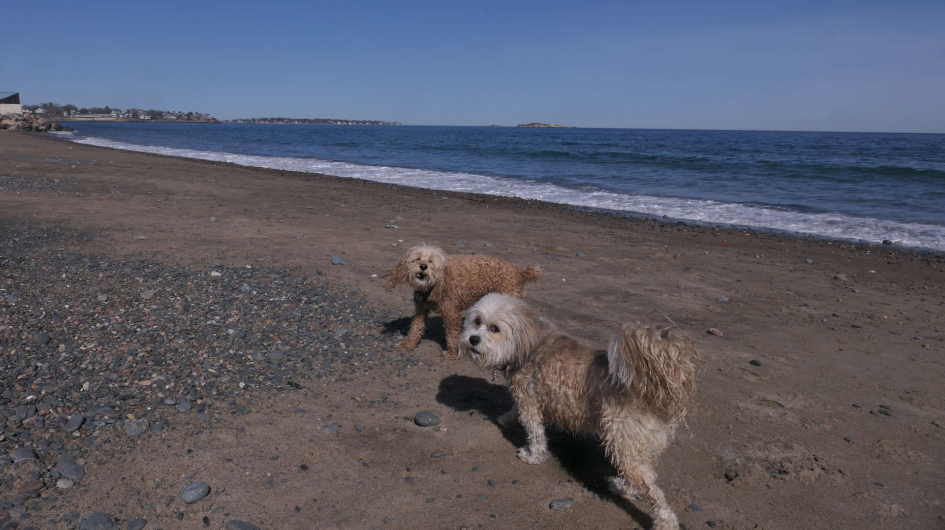 Swampscott40