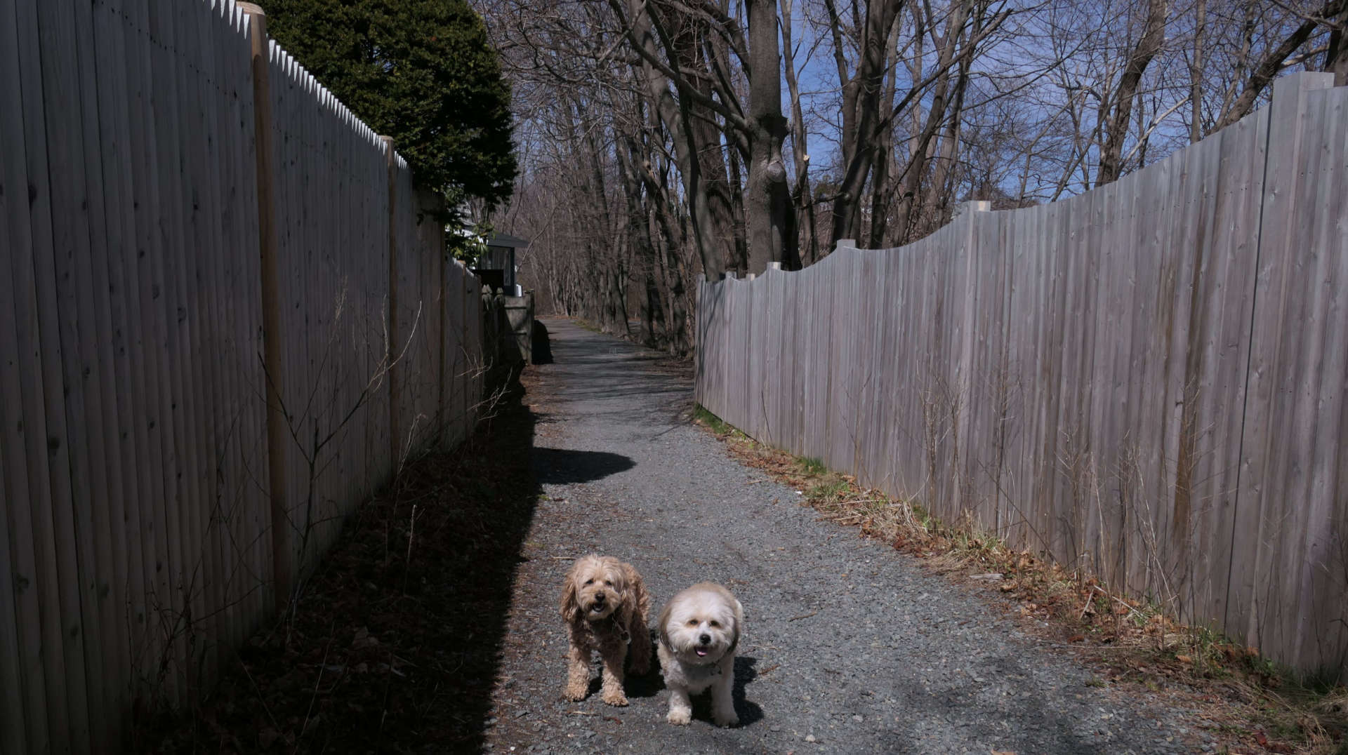Swampscott8