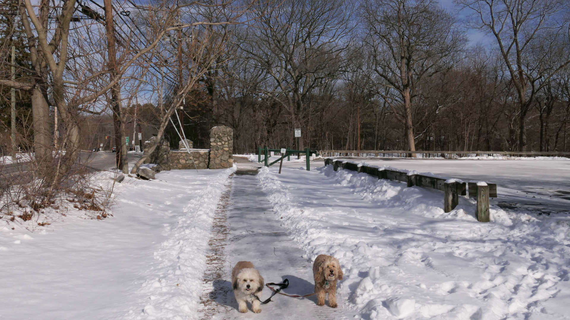 Waltham10
