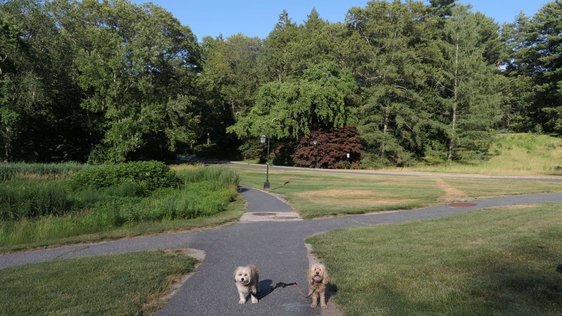 Wellesley27