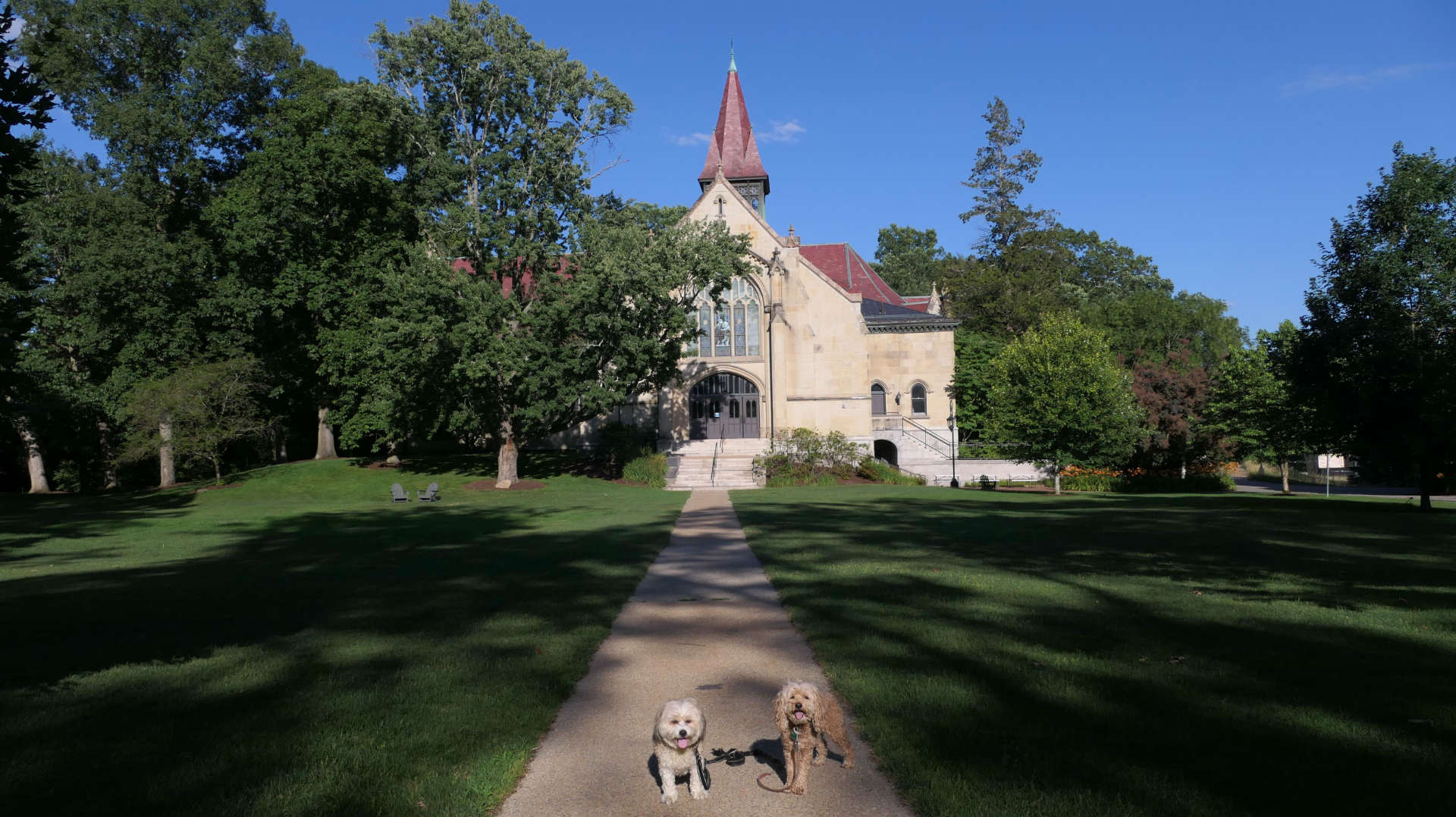 Wellesley31