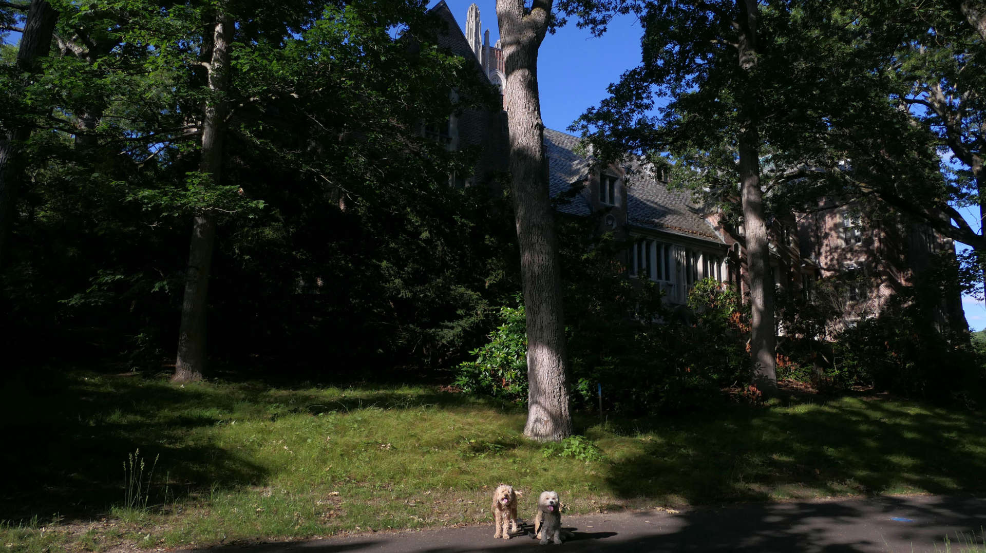 Wellesley32