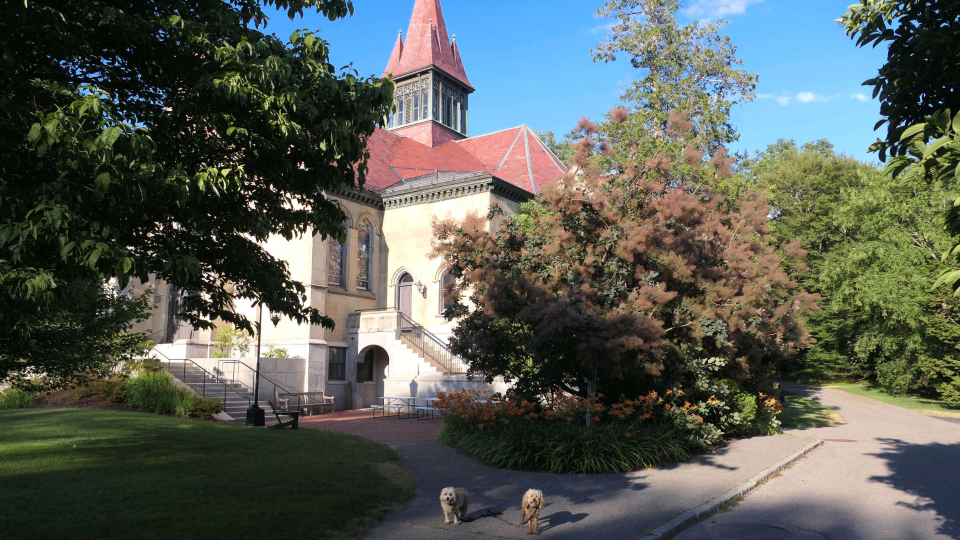 Wellesley42