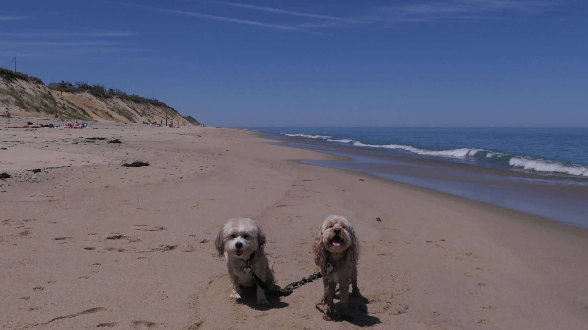 Wellfleet61