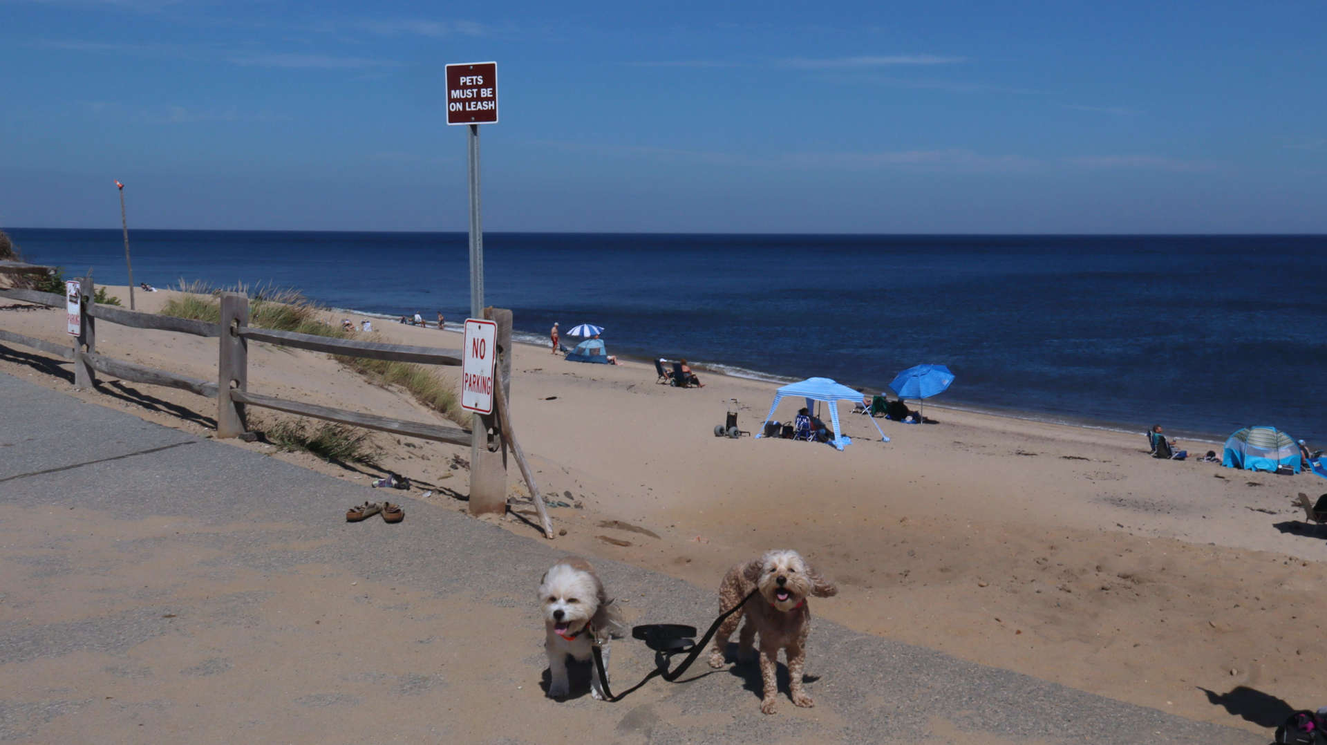 Wellfleet67