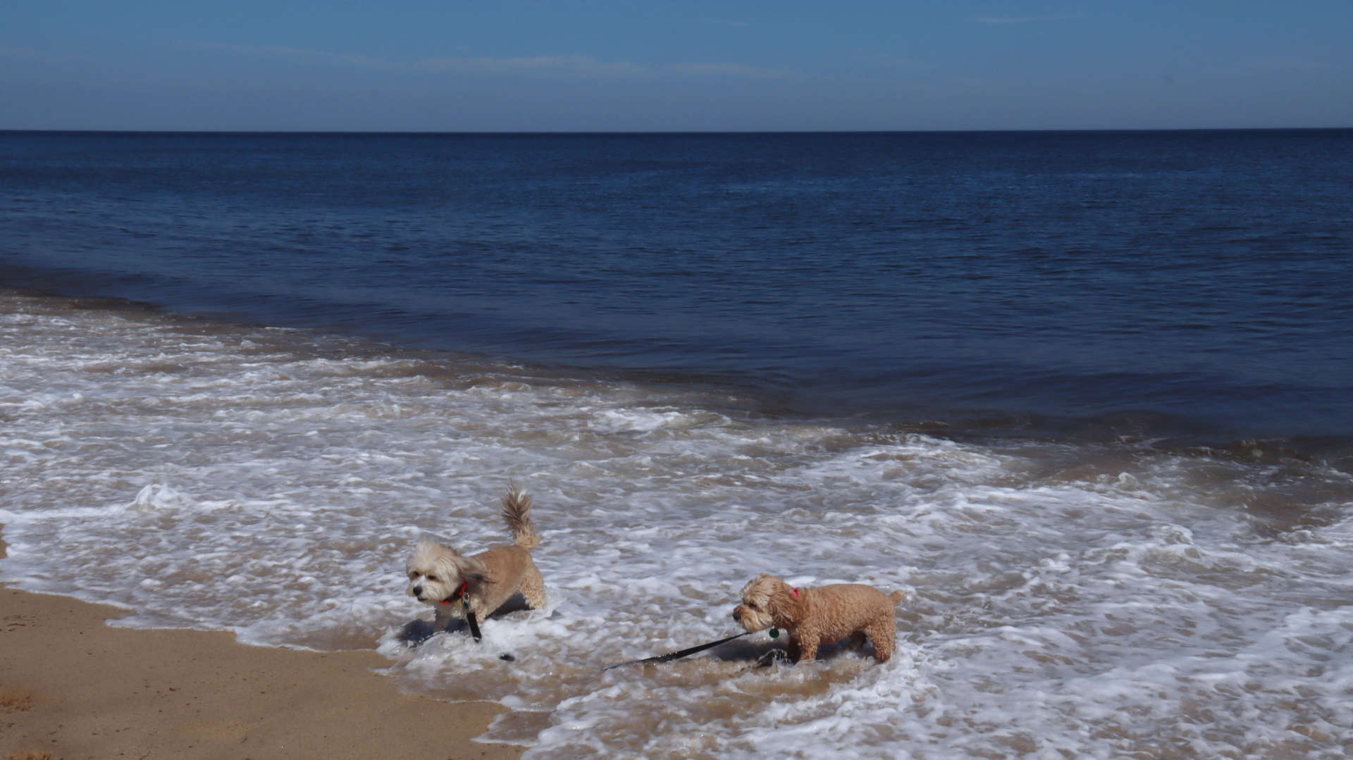 Wellfleet70