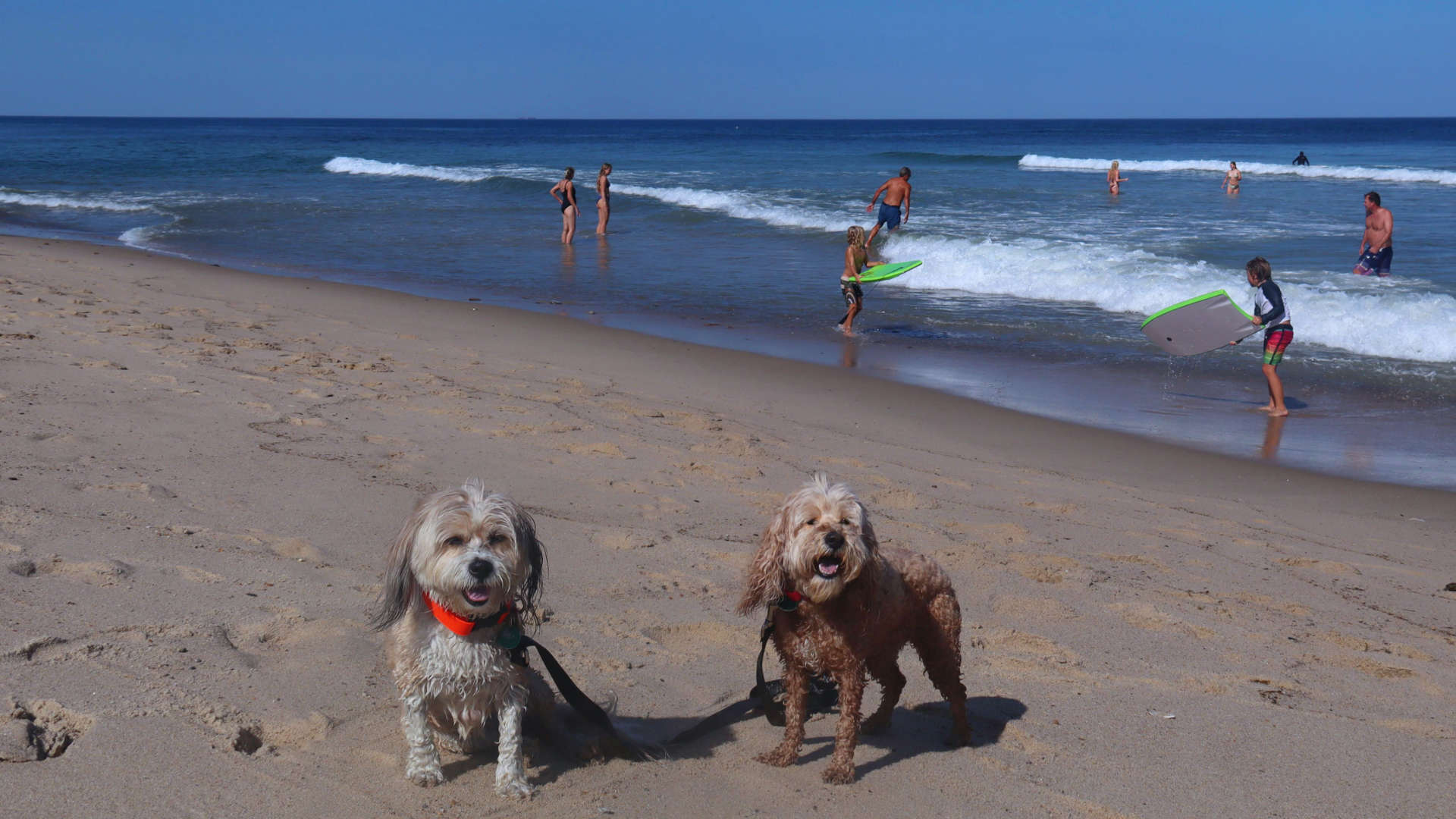 Wellfleet73