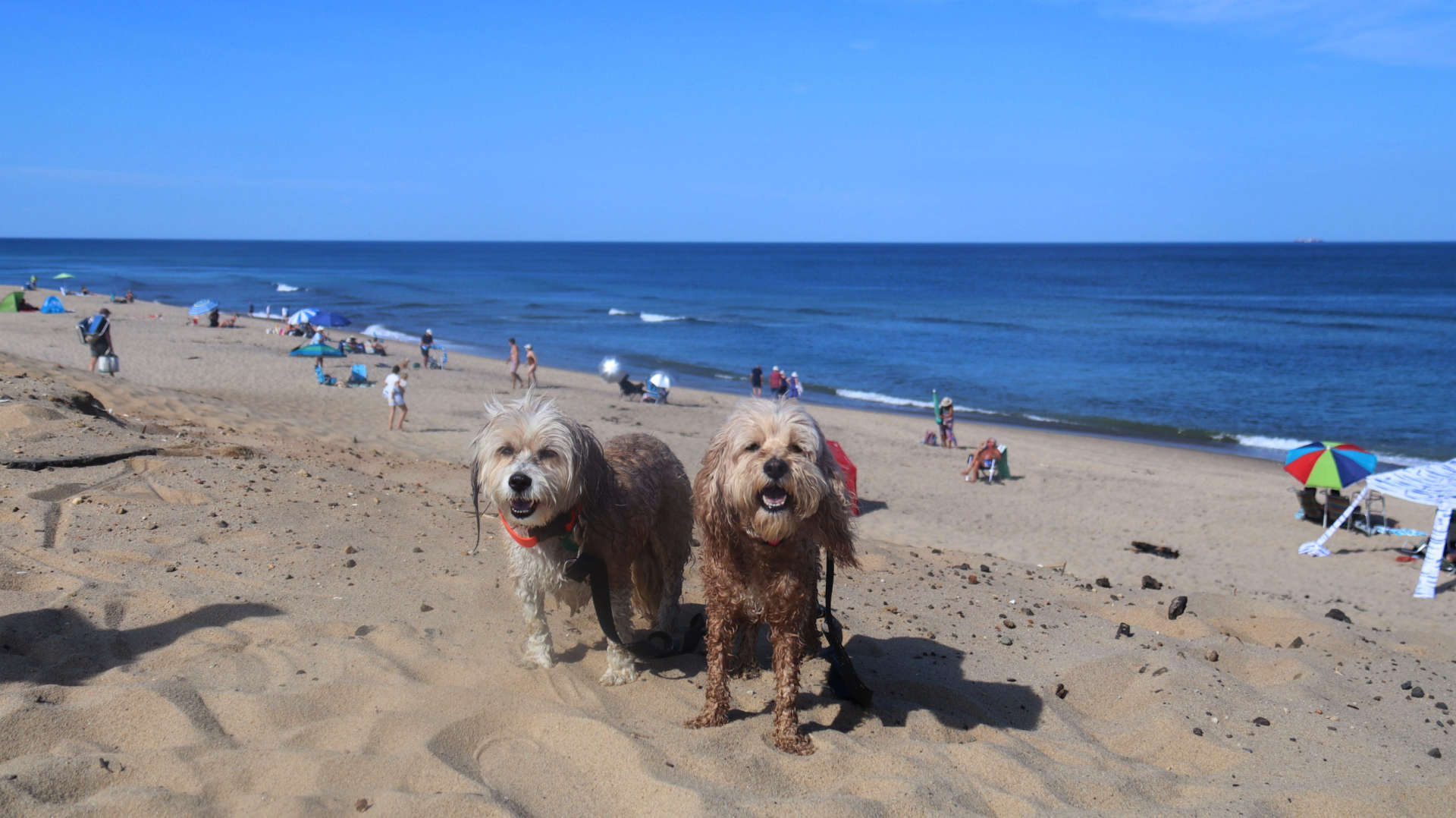 Wellfleet75