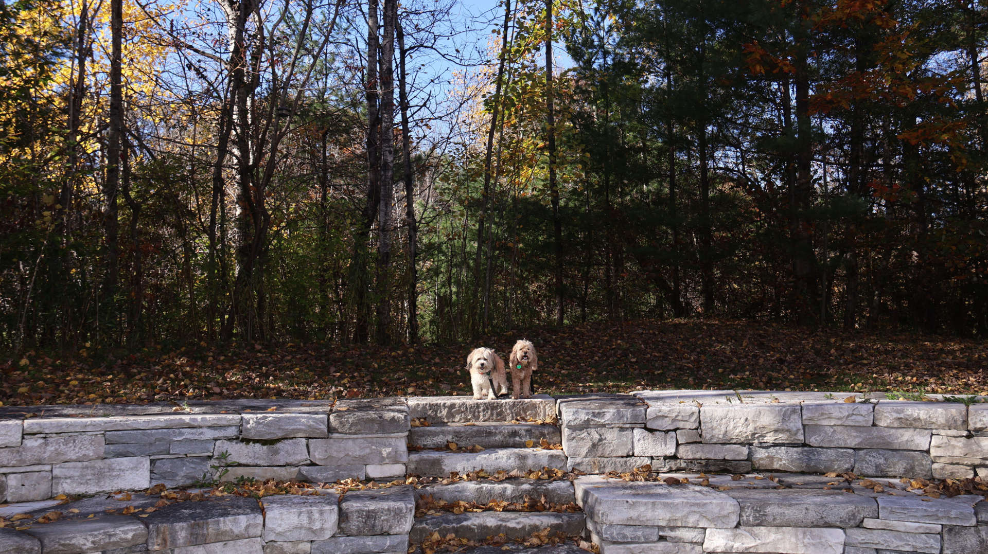 West_Stockbridge25