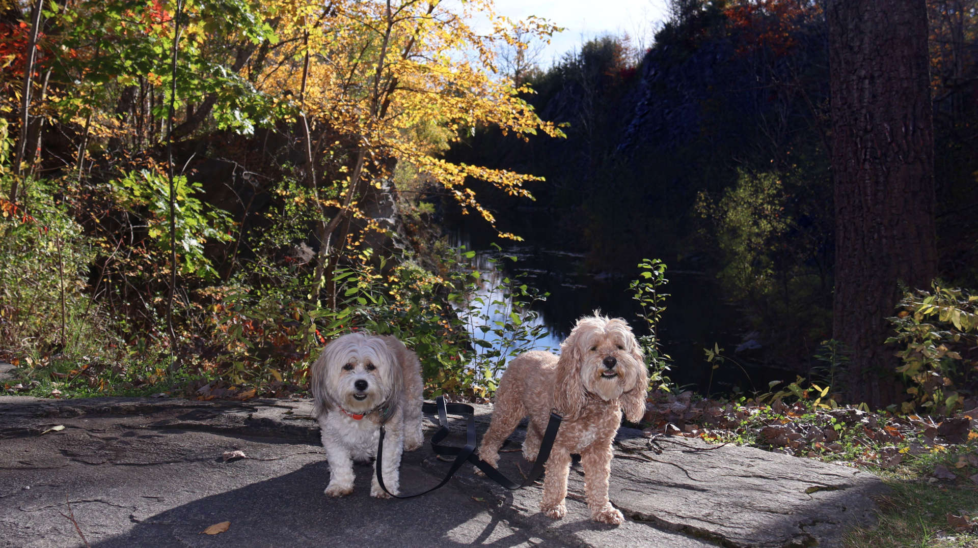 West_Stockbridge28