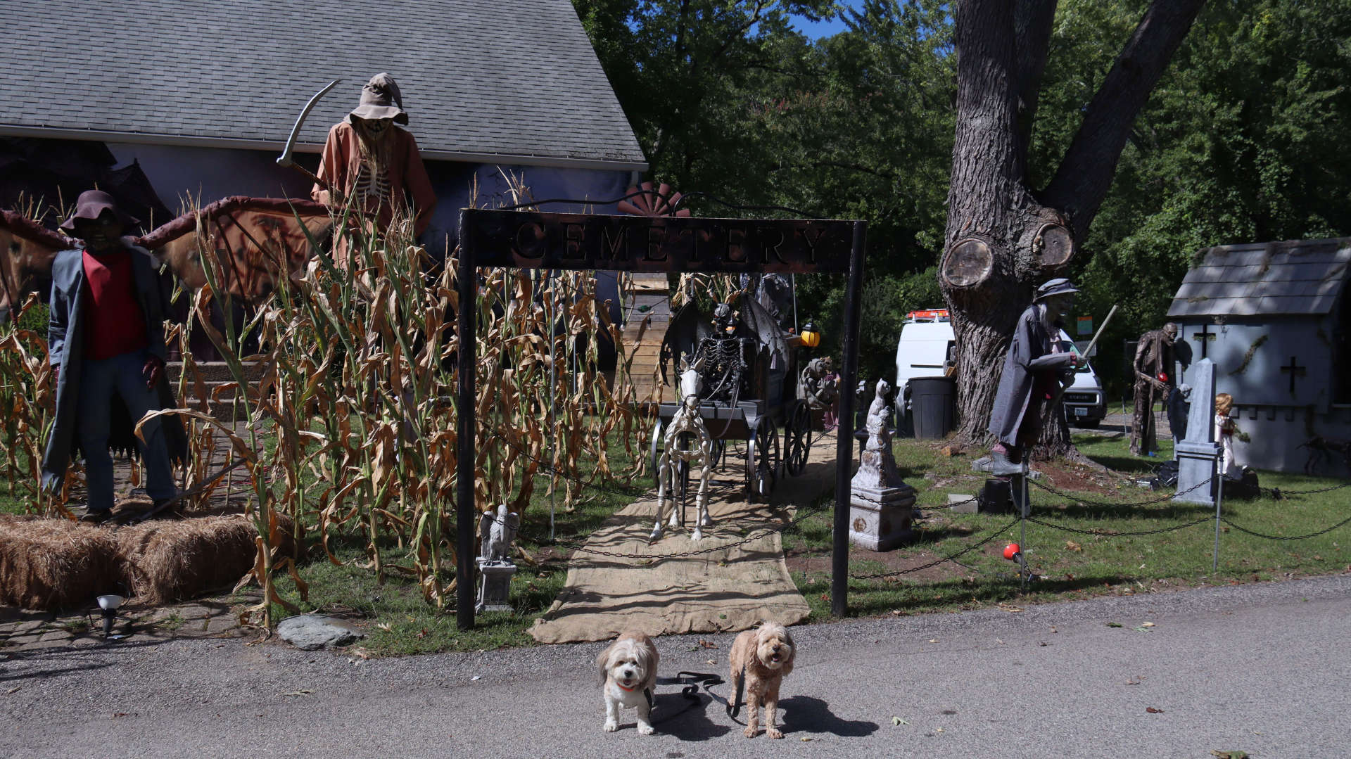 West_Warwick47