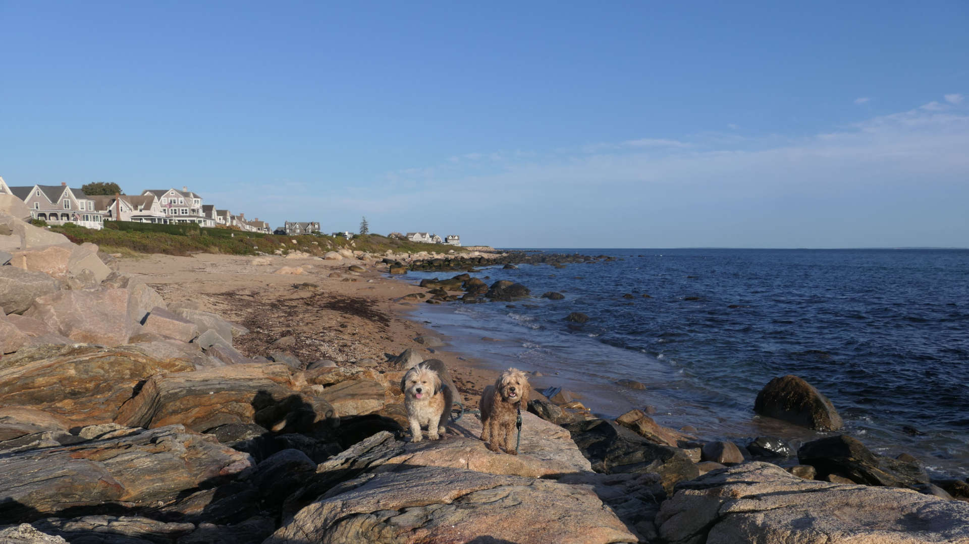 Westerly626