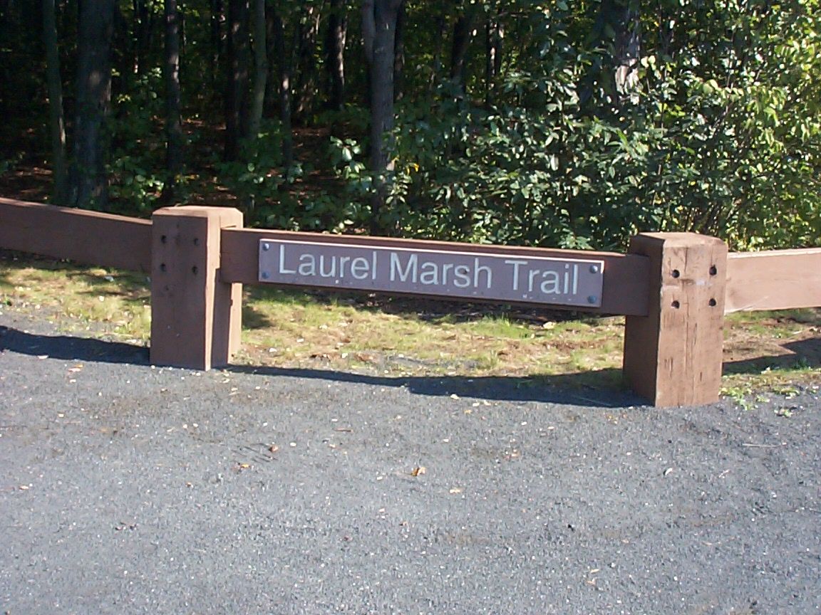 Laurel Marsh Trail in 1999